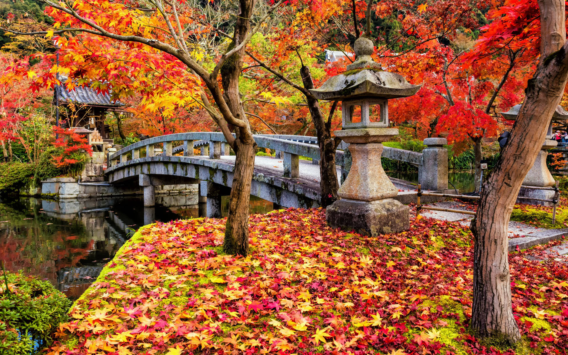 autumn bridge, Kyoto, stone bridge, Full HD Desktop Wallpaper