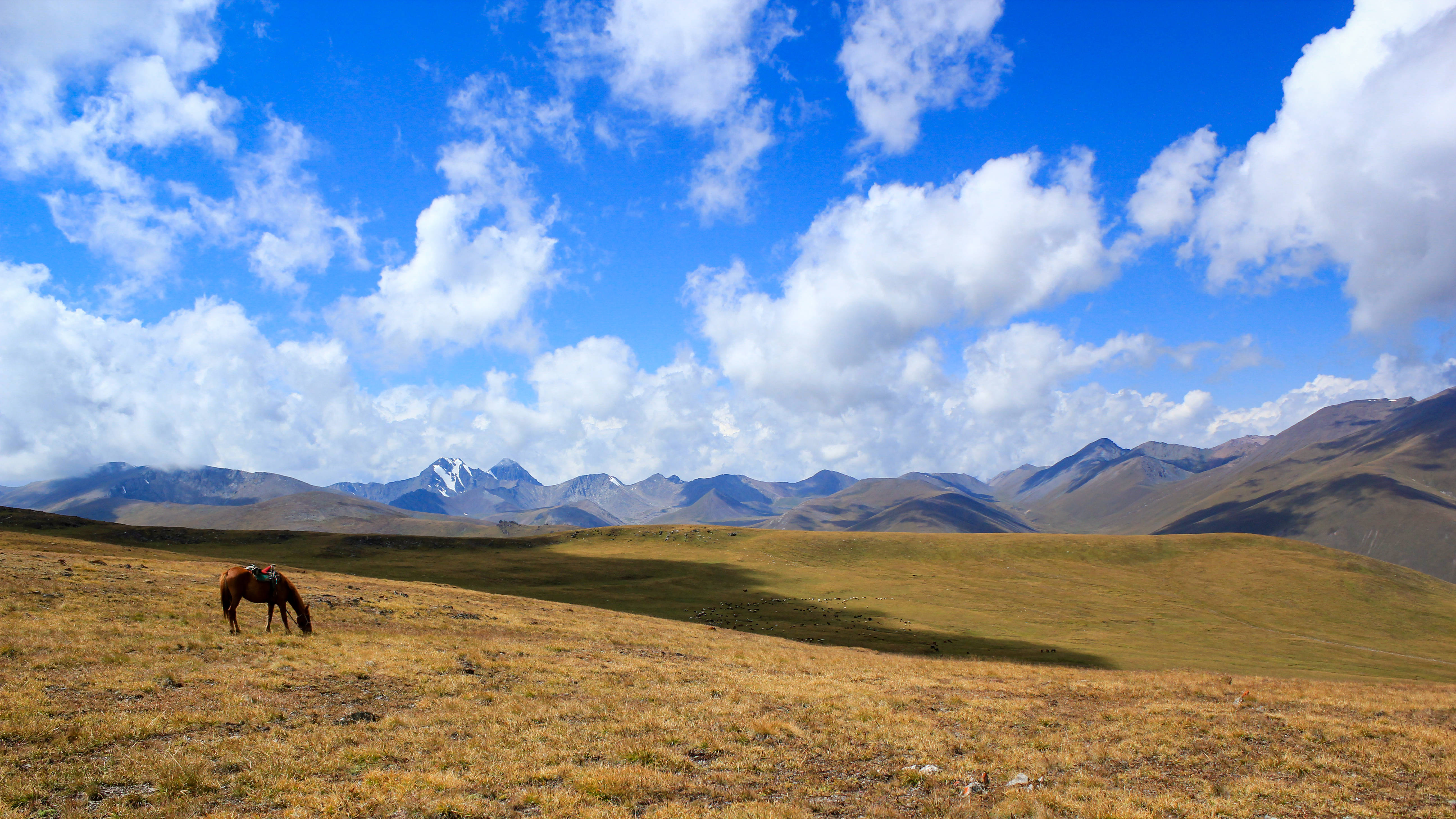 Kyrgyzstan, golden grassy field, vast blue sky, 5K Desktop Wallpaper