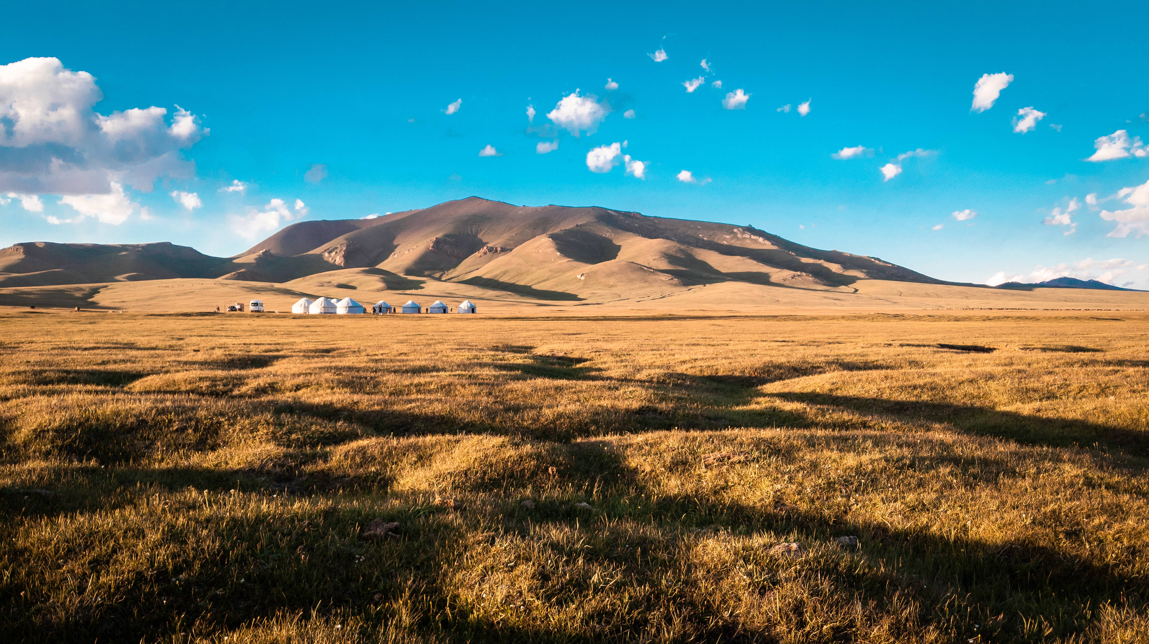 Kyrgyzstan, golden grassland, bright blue sky, 4K Desktop Wallpaper