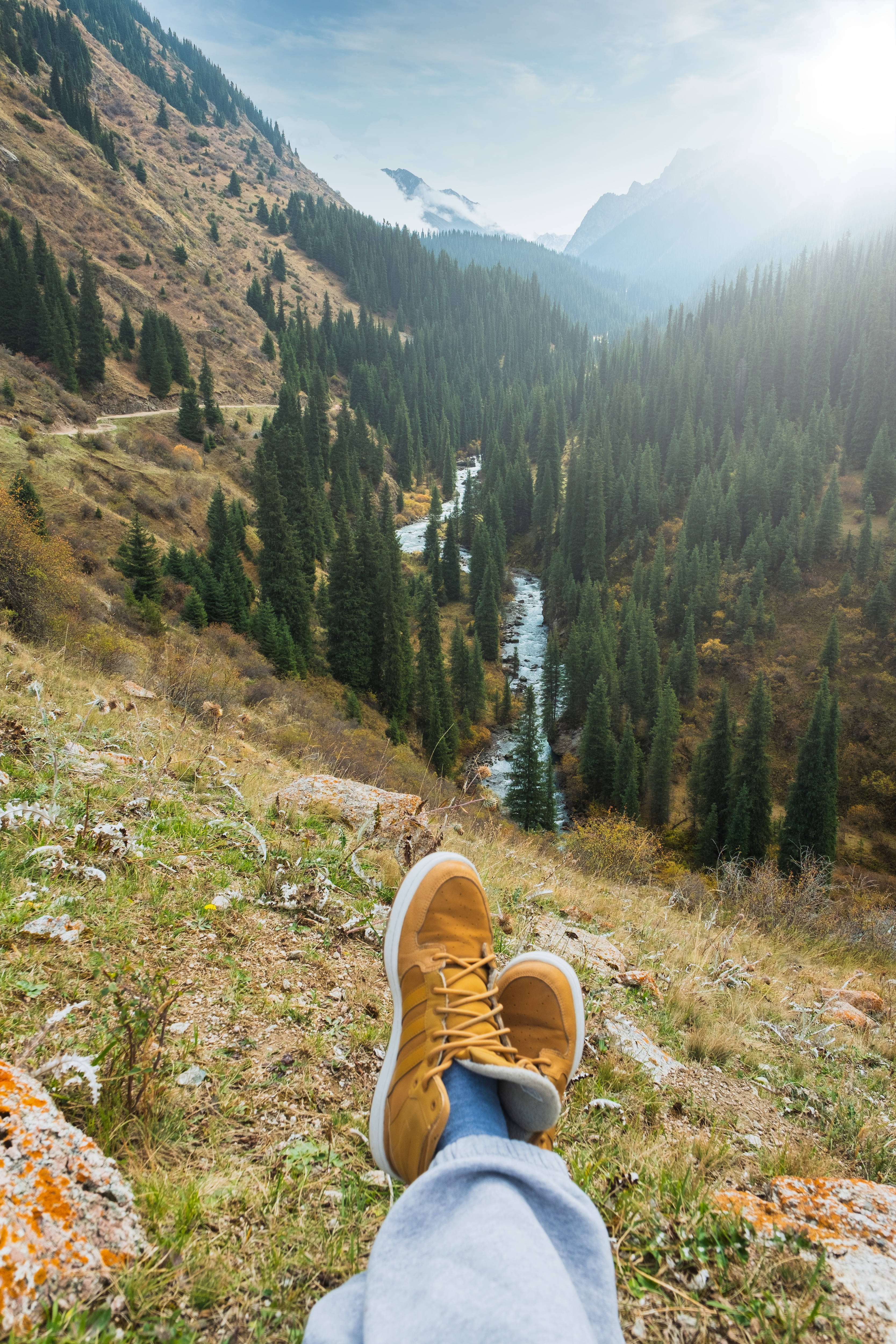 Kyrgyzstan, river, pine trees, 4K Phone Wallpaper