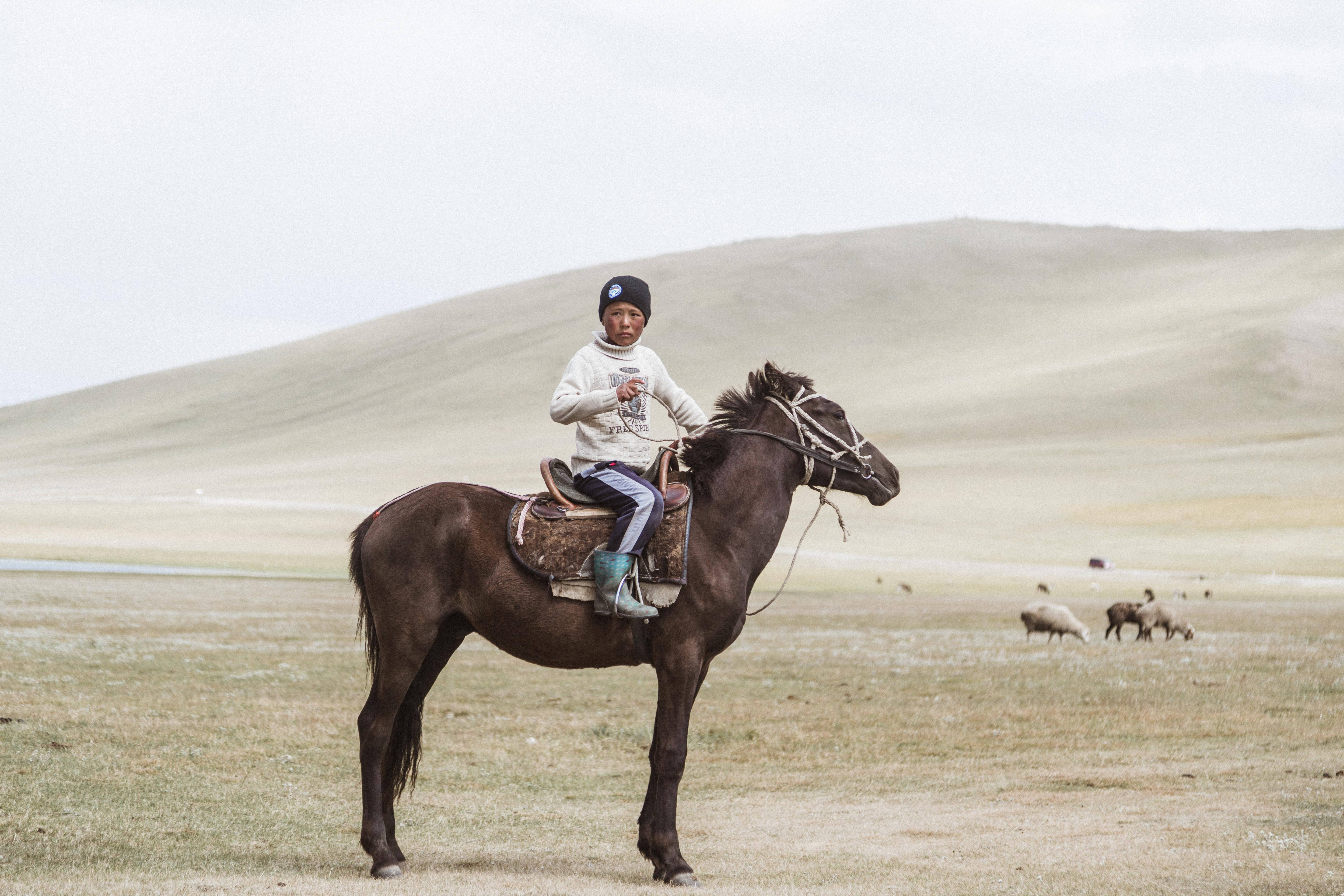 Kyrgyzstan, horse, grassland, 5K Desktop Wallpaper