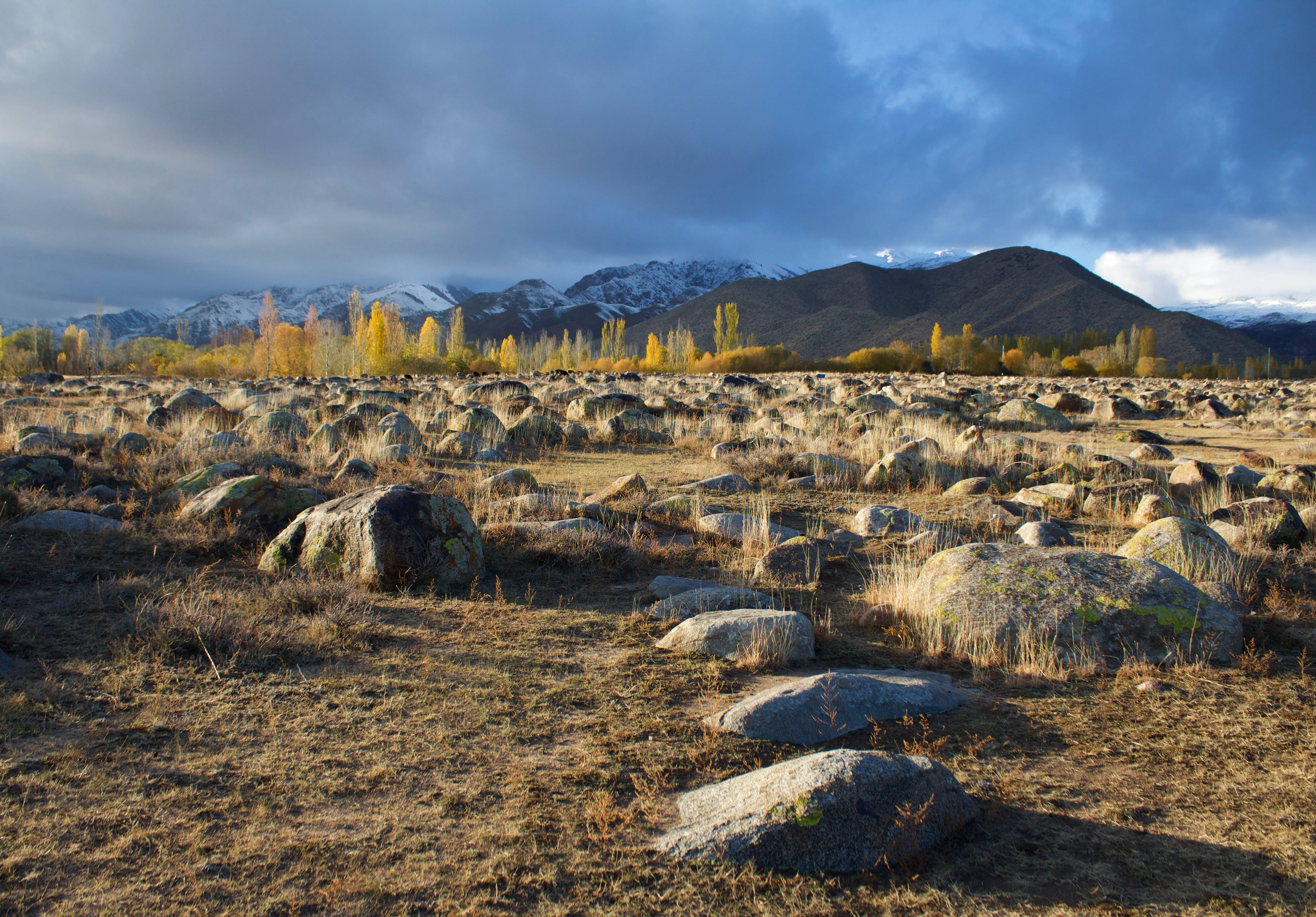 Kyrgyzstan, rocky shrubland, dry grass, 4K Desktop Wallpaper