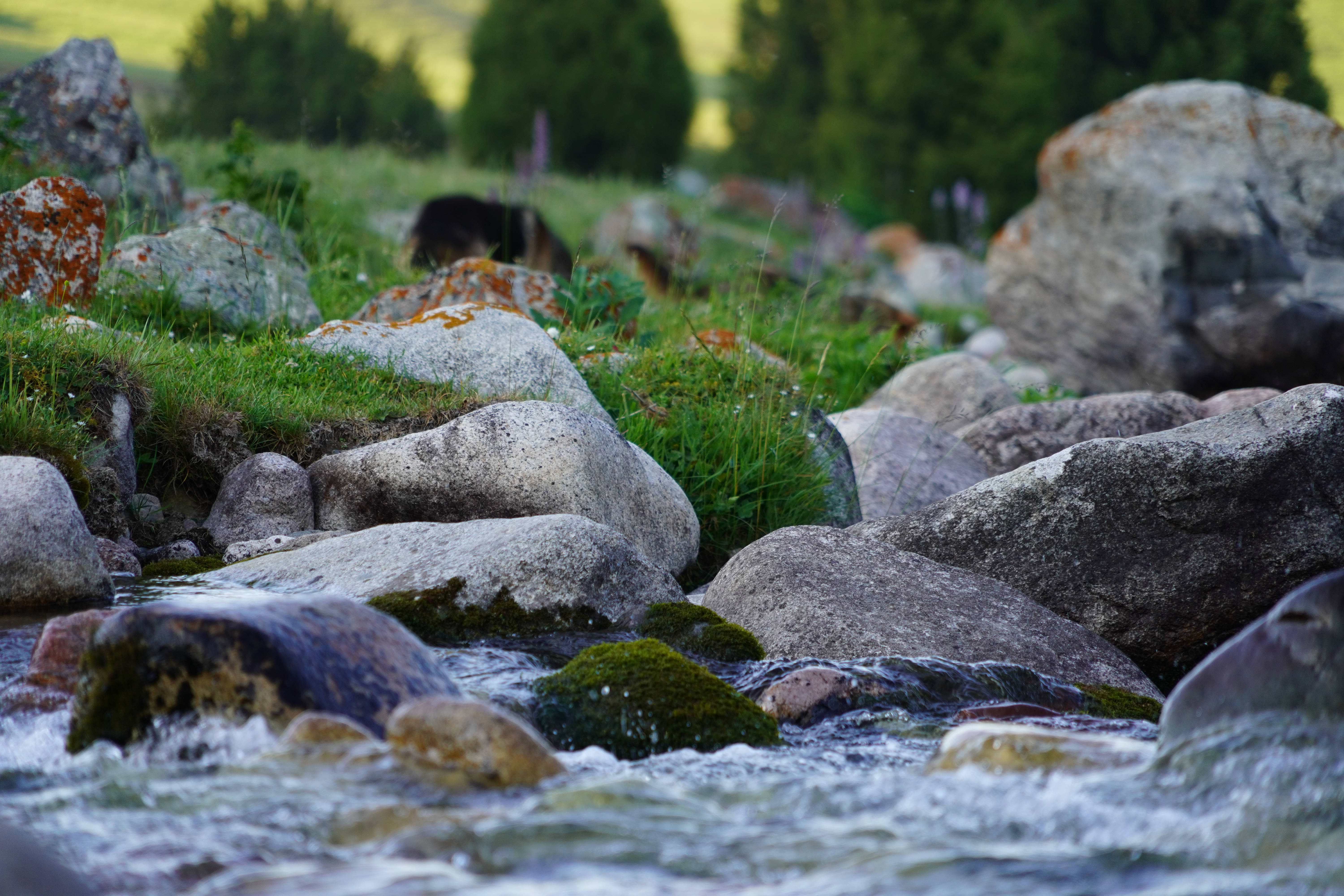 Kyrgyzstan, stream bed, mountain stream, 5K Desktop Wallpaper