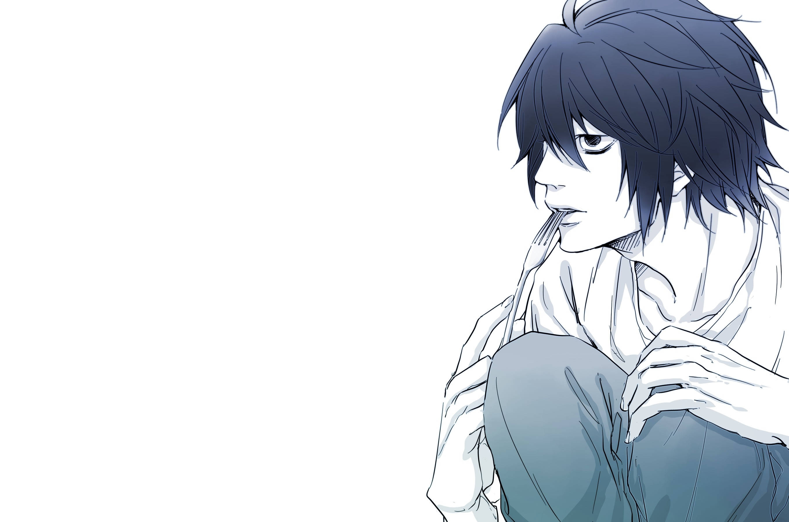 L Lawliet, anime boy, dark hair, 2K Desktop Wallpaper