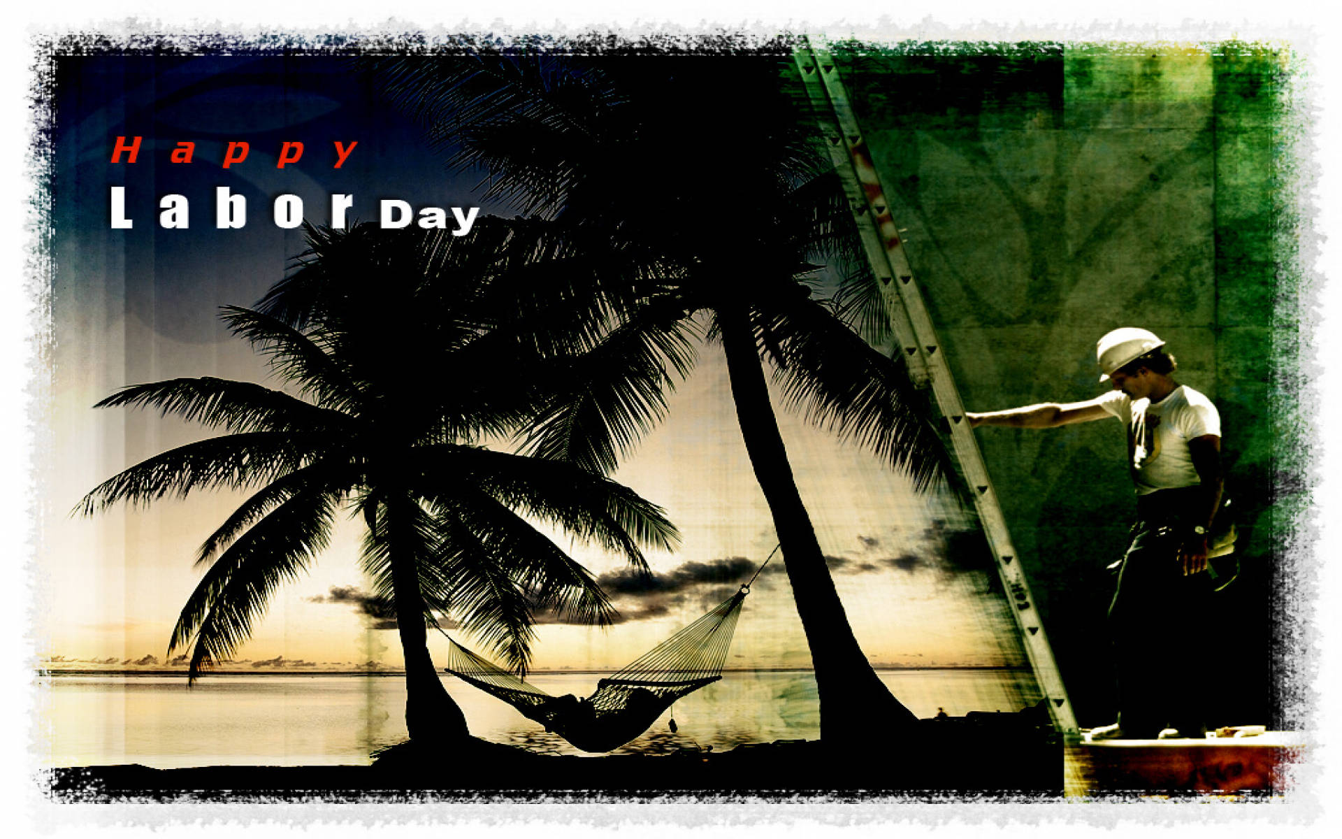 hard hat, ladder, palm trees, Full HD Desktop Wallpaper
