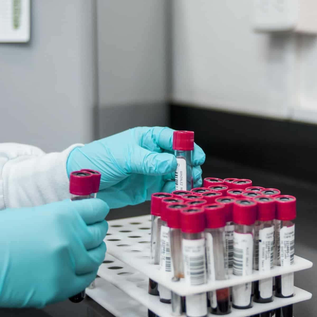 laboratory, test tubes rack, blue gloves, SD Desktop Wallpaper