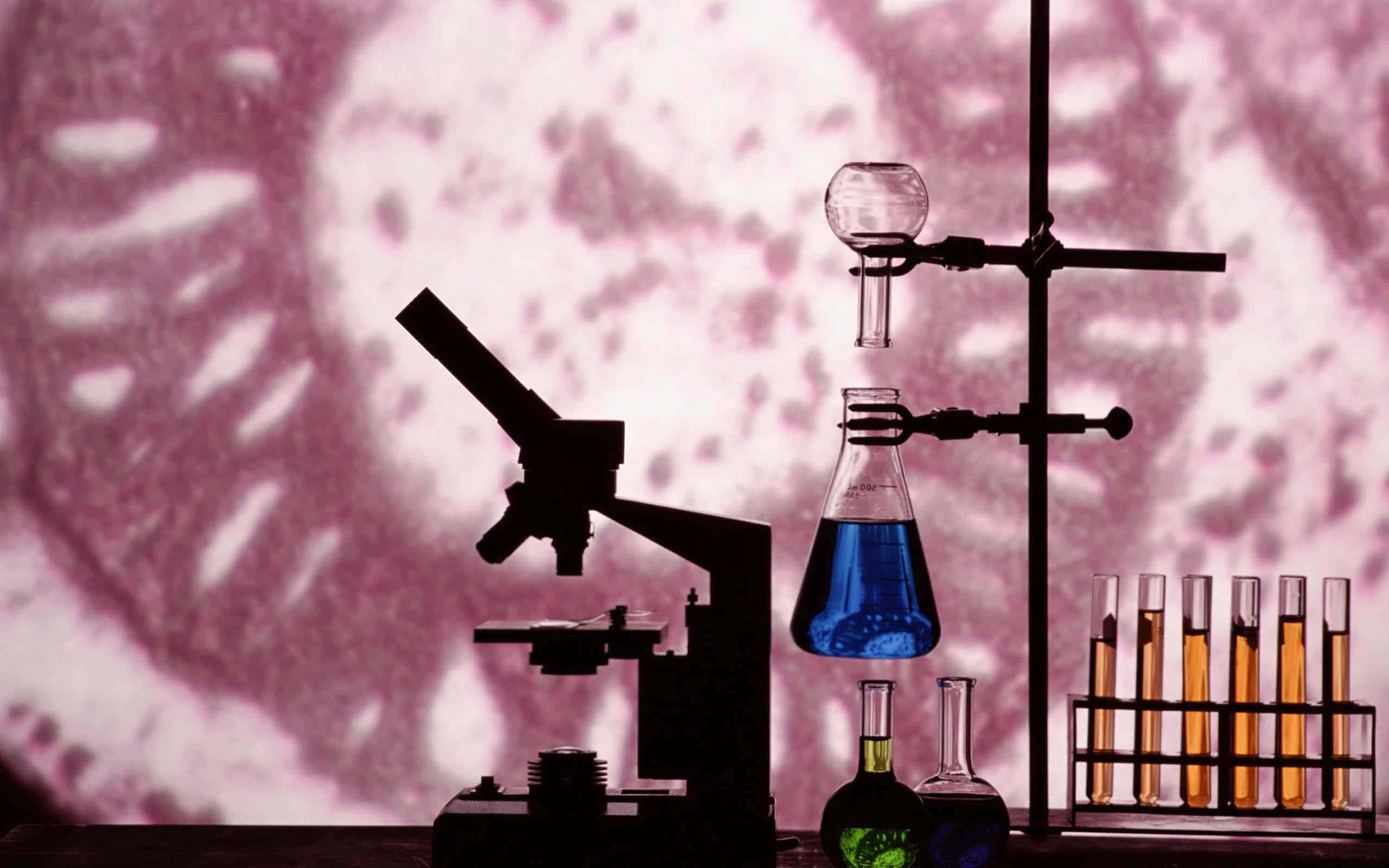 physics lab equipment, blue liquids, amber liquids, 2K Desktop Wallpaper