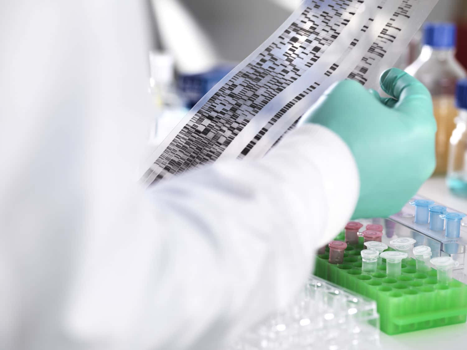 DNA gel electrophoresis, lab, test tubes, HD Desktop Wallpaper