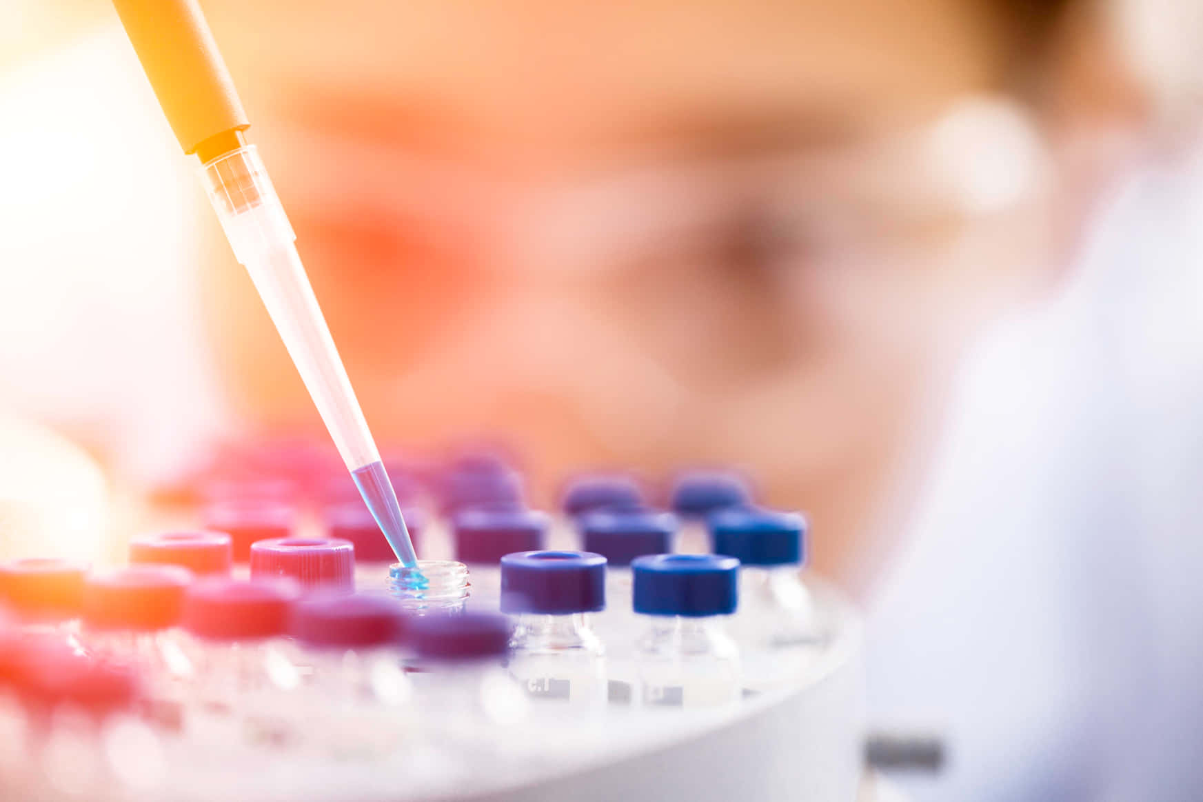 laboratory, scientist, pipette, HD Desktop Wallpaper