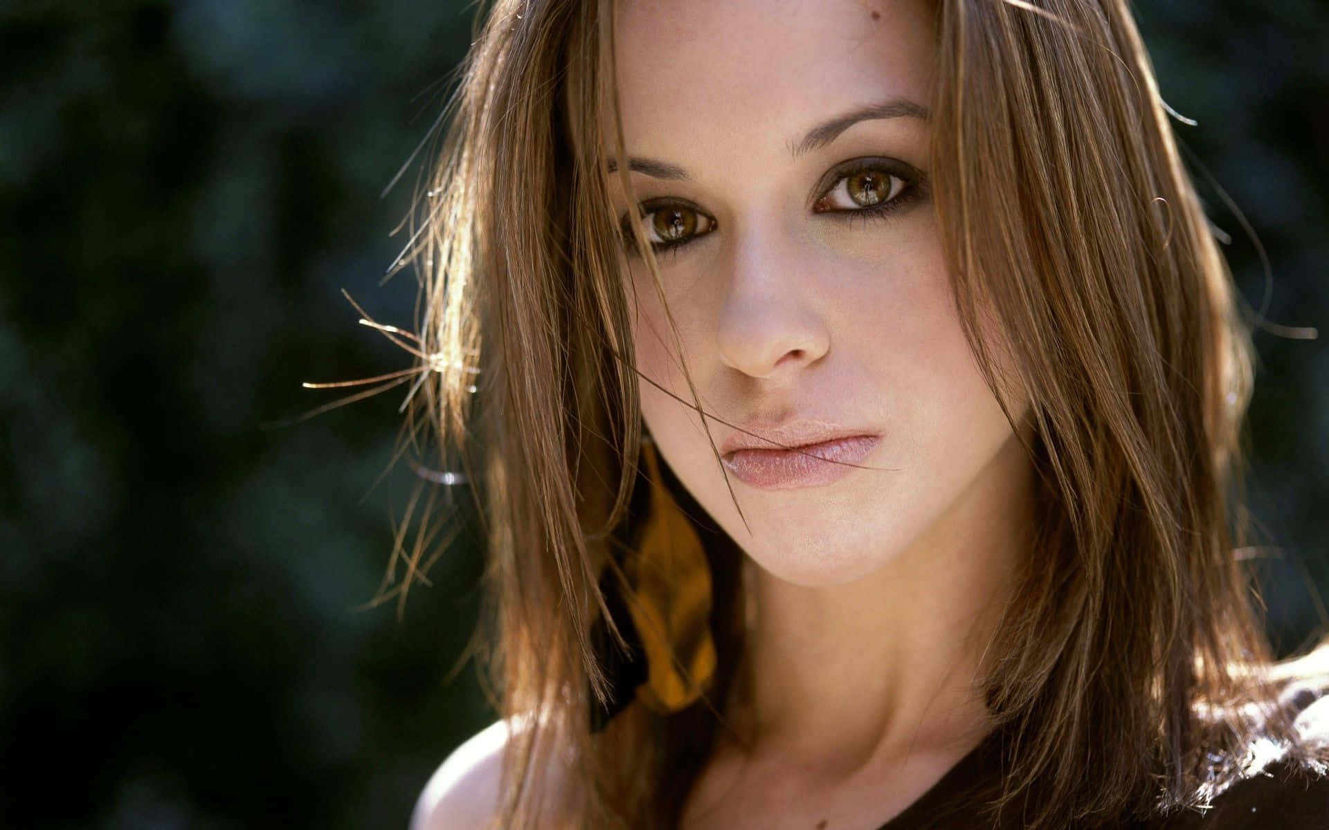 Lacey Chabert, brown hair, warm eyes, Full HD Desktop Wallpaper