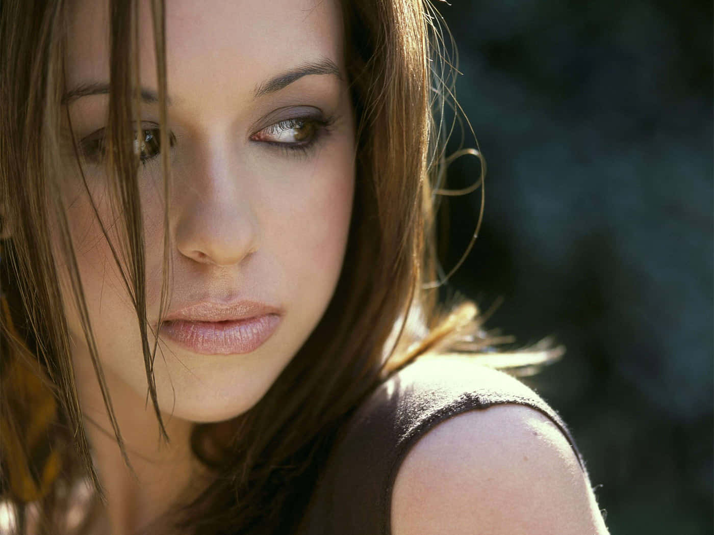 Lacey Chabert, brown hair, soft gaze, HD Desktop Wallpaper