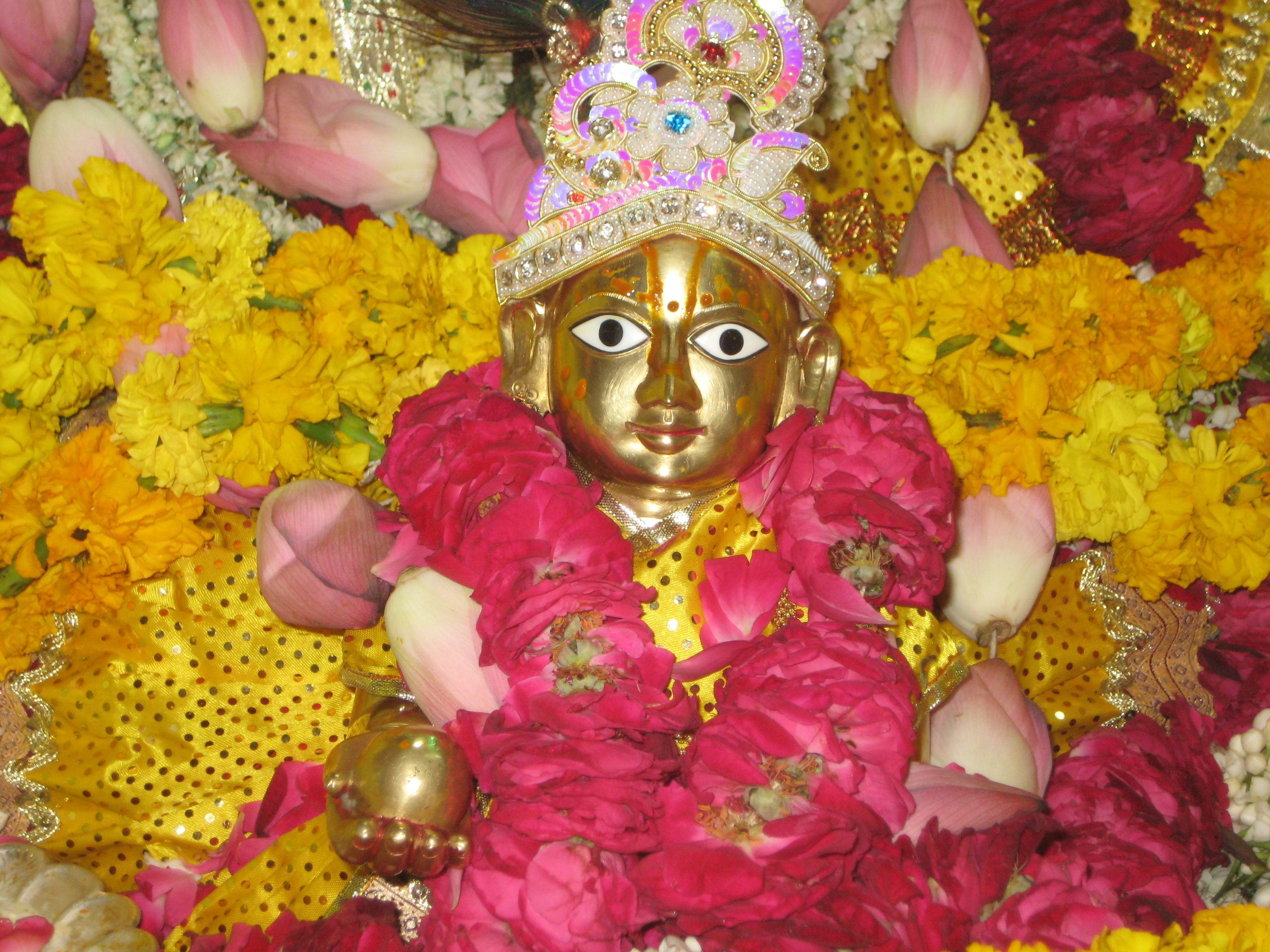 Laddu Gopal, golden deity statue, vibrant pink and yellow flowers, 2K Desktop Wallpaper