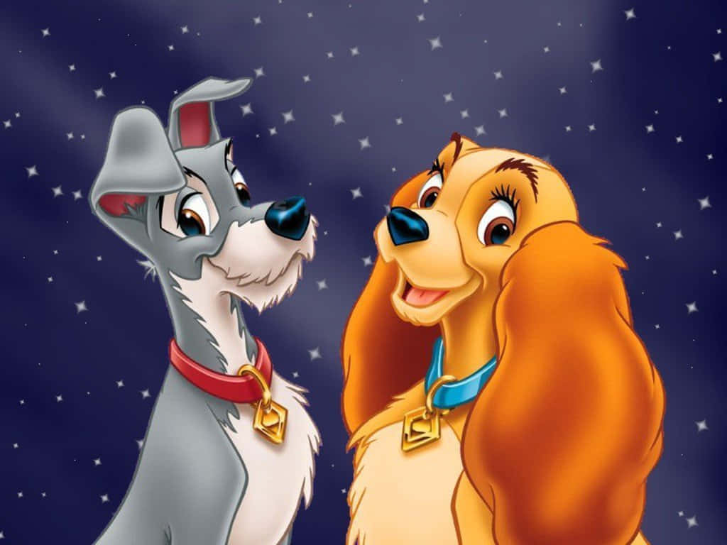 Lady and the tramp, spaghetti kiss scene, starry night sky, SD Desktop Wallpaper