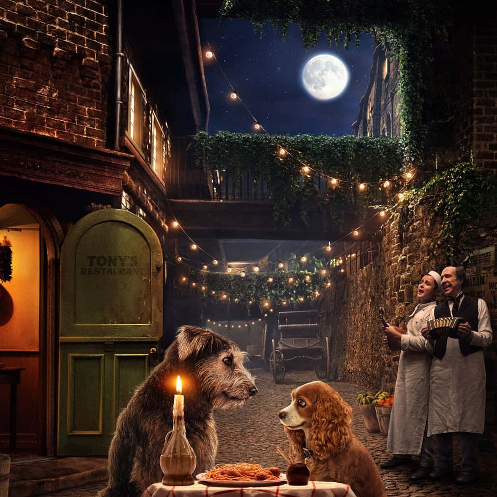 Lady and the Tramp, string lights, full moon, SD Desktop Wallpaper