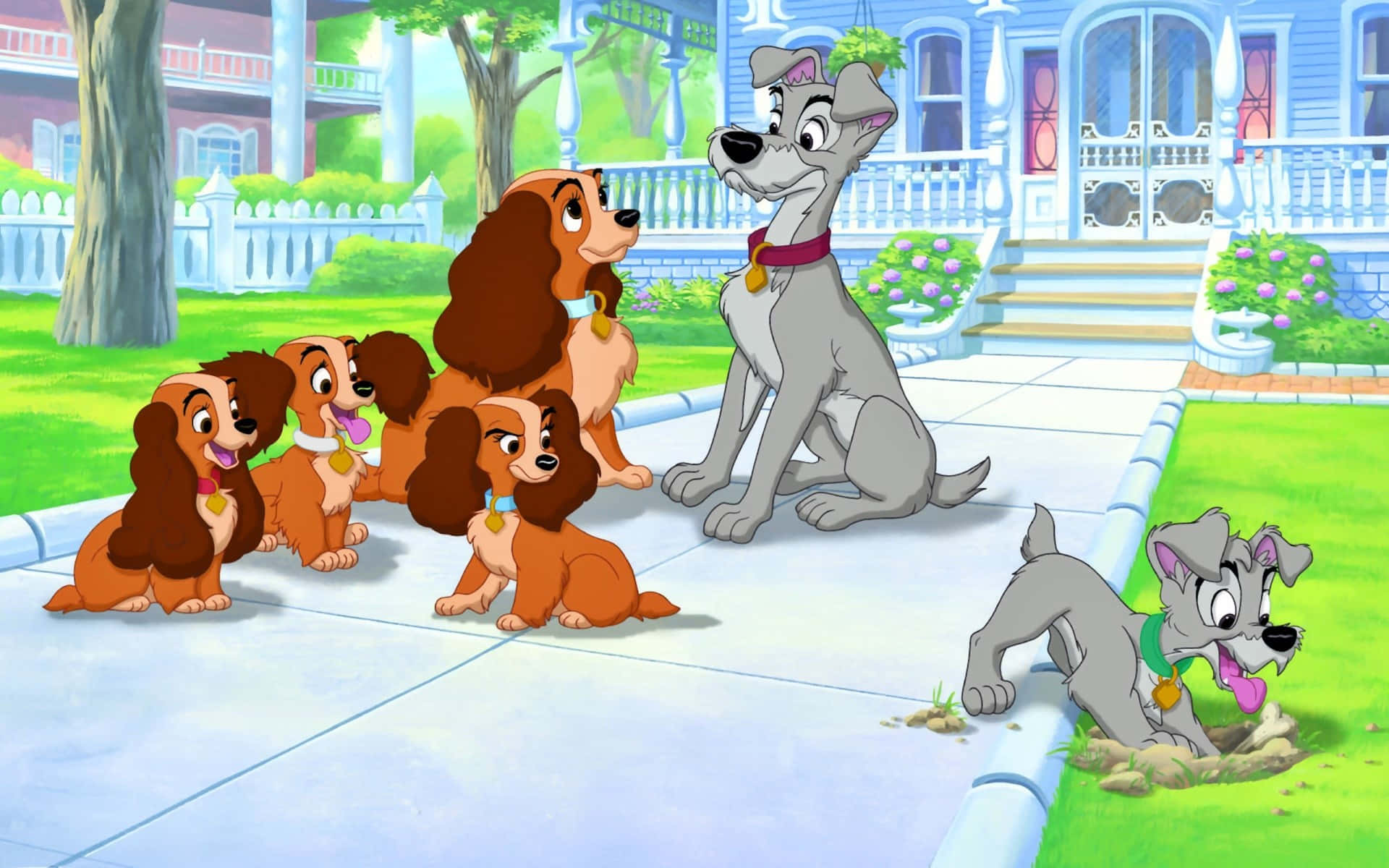 Lady and the Tramp, gray mother dog, brown puppies, Full HD Desktop Wallpaper