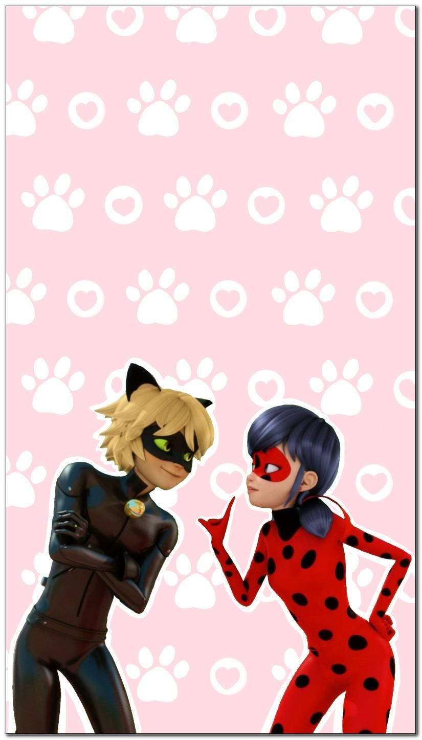 Ladybug, Cat Noir, pink background, HD Phone Wallpaper