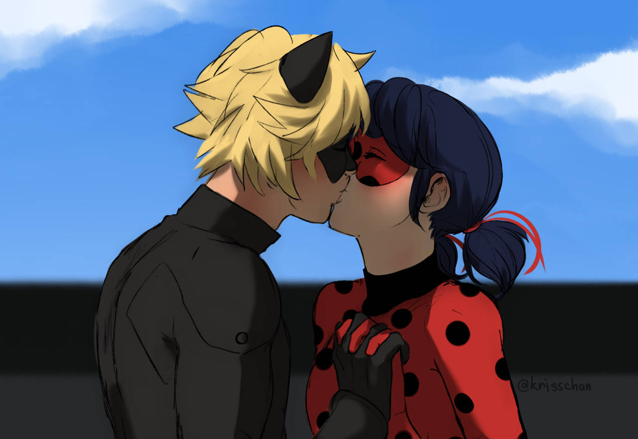 Ladybug, Cat Noir, blue sky, HD Desktop Wallpaper