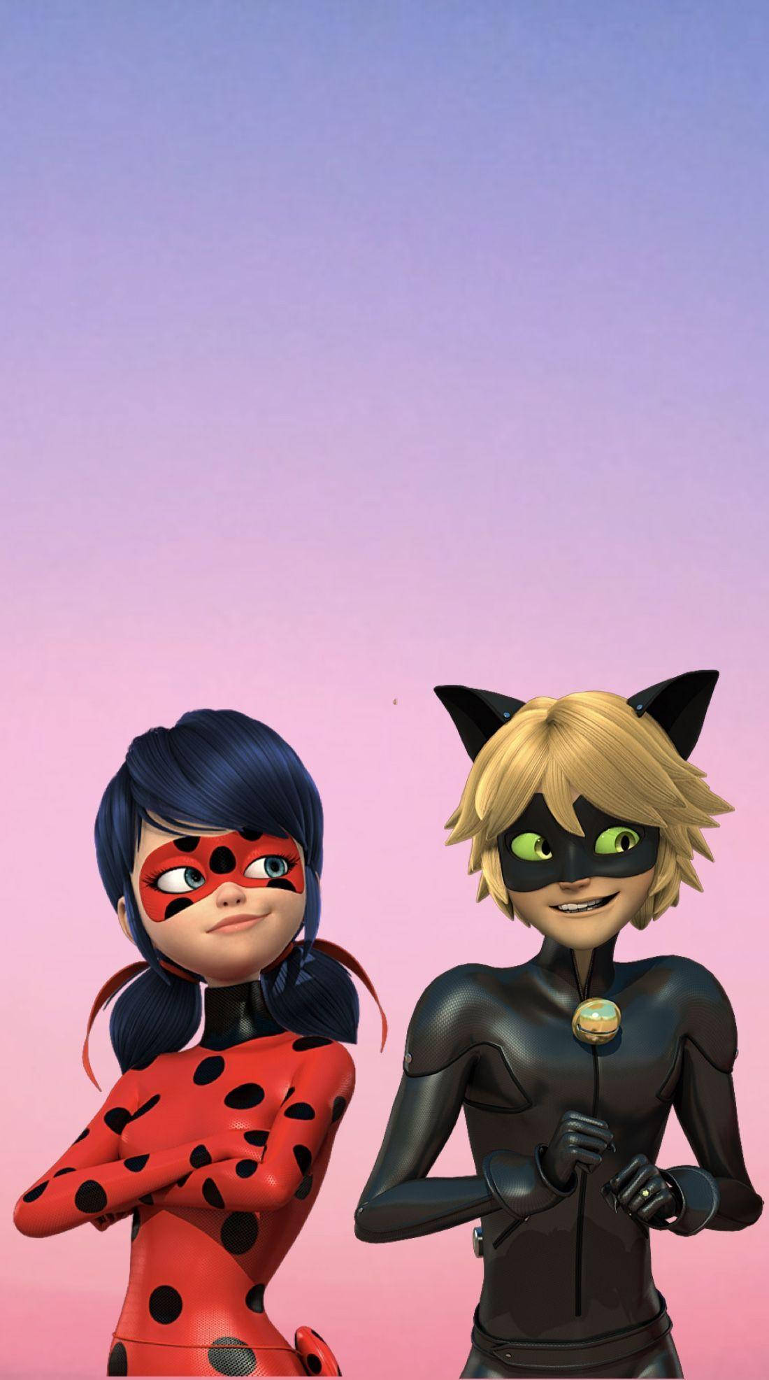 Ladybug, Cat Noir, 3D, Full HD Phone Wallpaper
