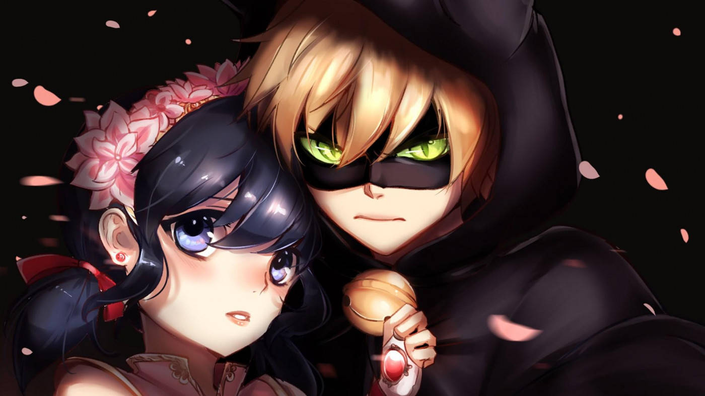 Ladybug, Cat Noir, glowing green eyes, HD Desktop Wallpaper