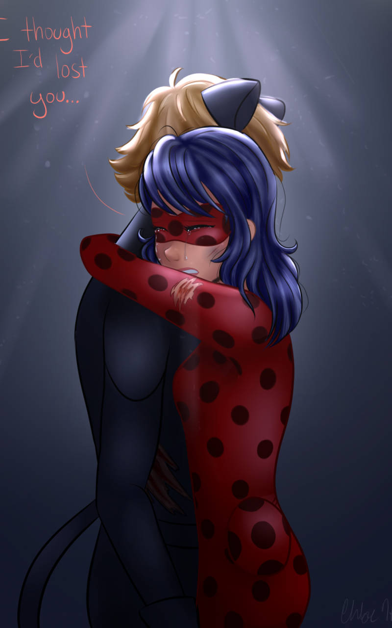 Ladybug, Cat Noir, blue-haired superheroine, HD Phone Wallpaper