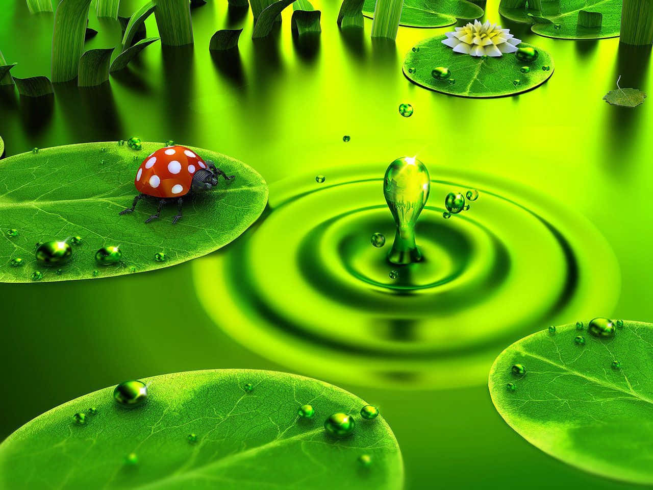 Cute Green Pon Ladybug, lily pad, glowing green pond, HD Desktop Wallpaper
