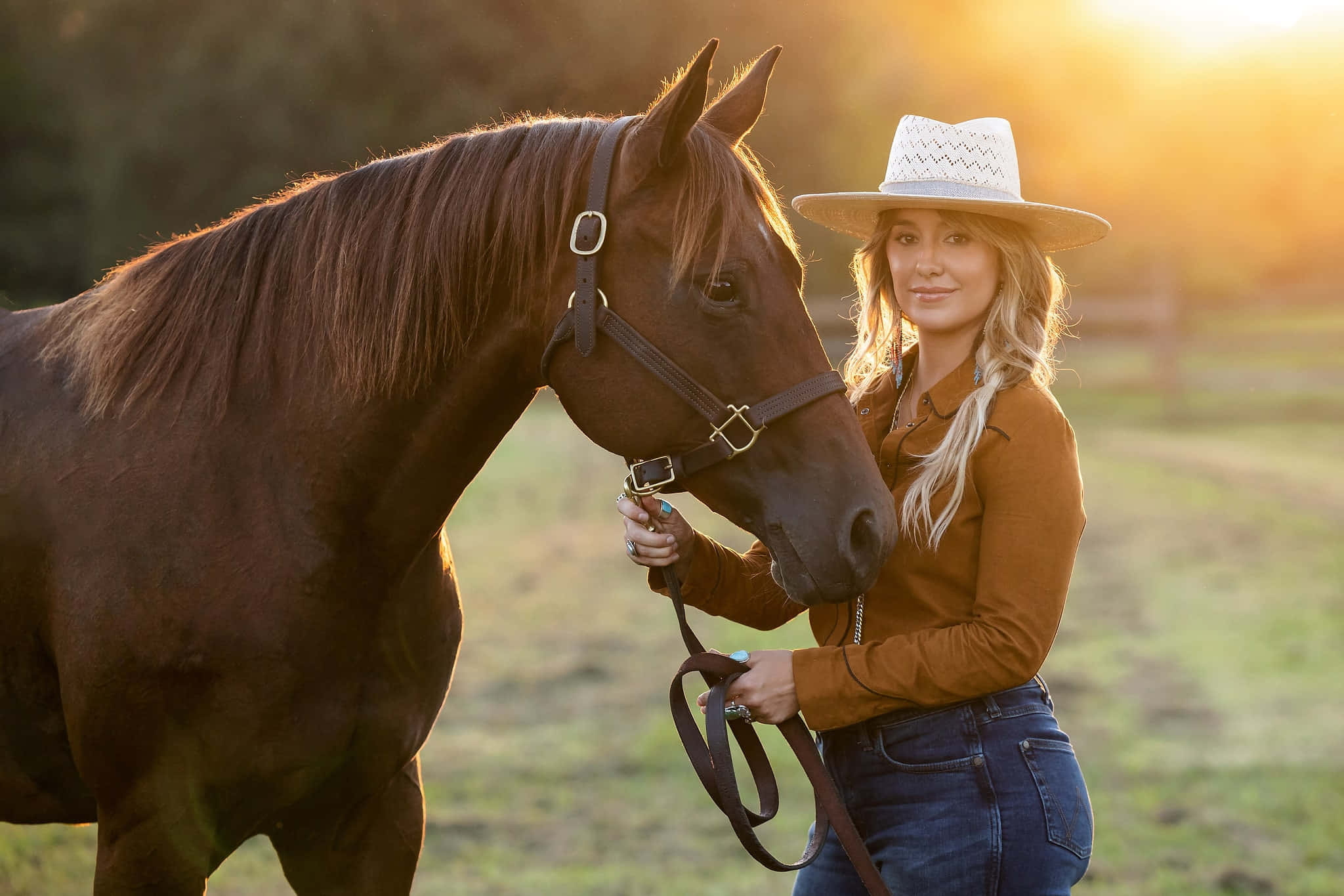 Lainey Wilson, brown horse, golden sunset, Full HD Desktop Wallpaper