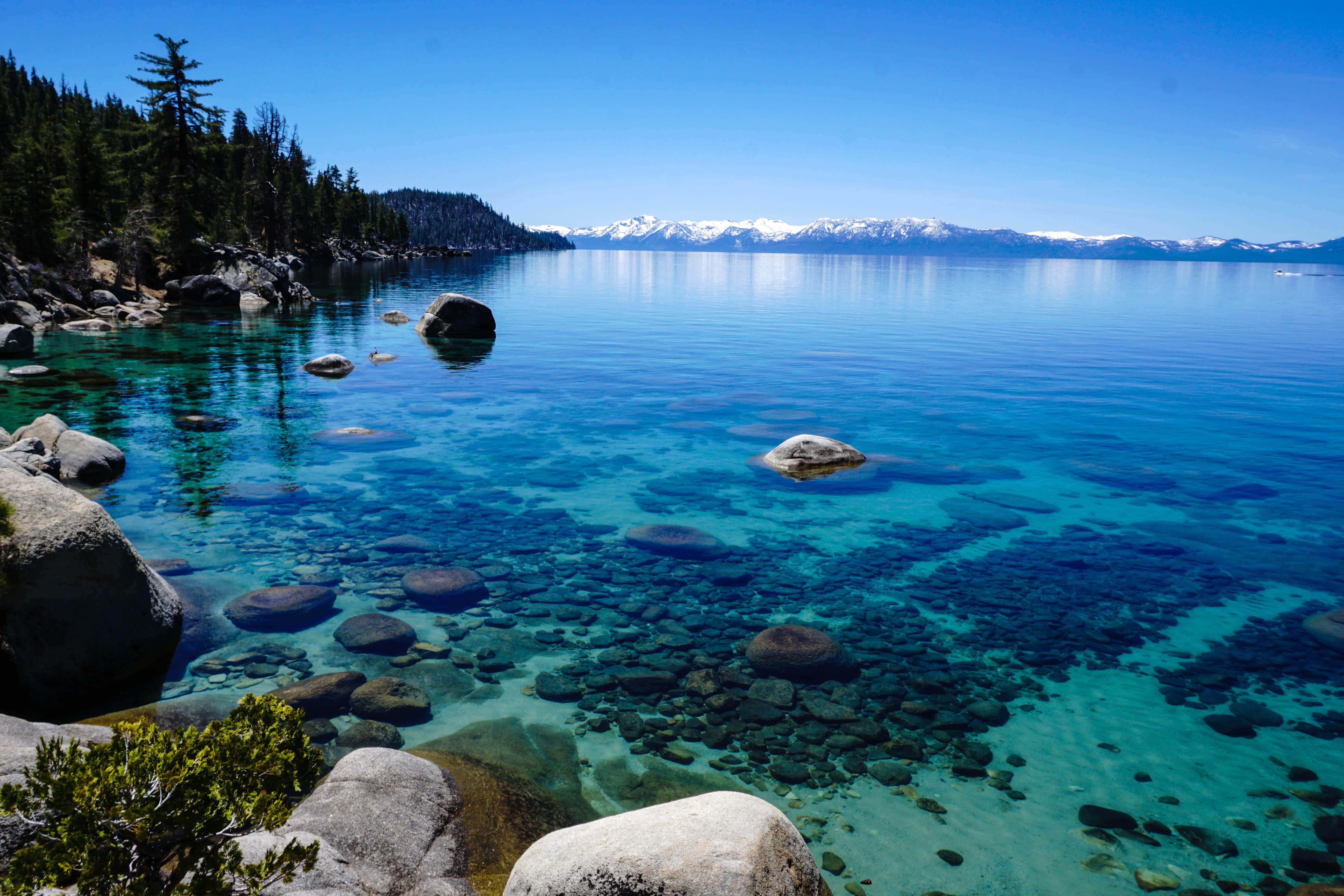 Lake Tahoe, turquoise lake water, forested shore, 5K Desktop Wallpaper