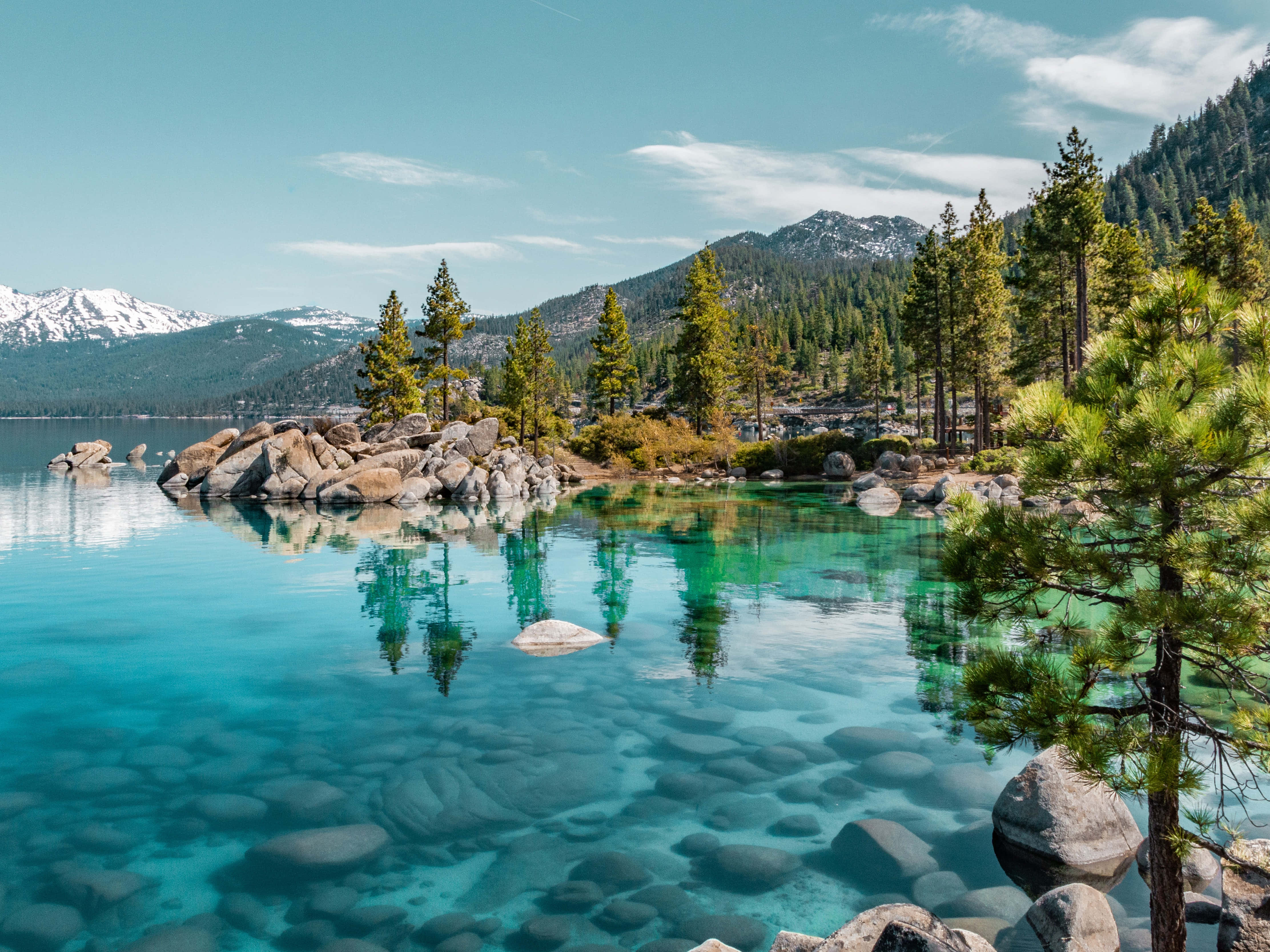 Lake Tahoe, turquoise lake, pine trees, 4K Desktop Wallpaper