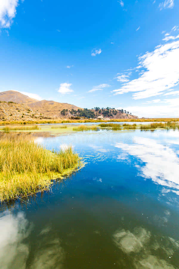 Lake Titicaca, bright blue sky, fluffy clouds, SD Phone Wallpaper