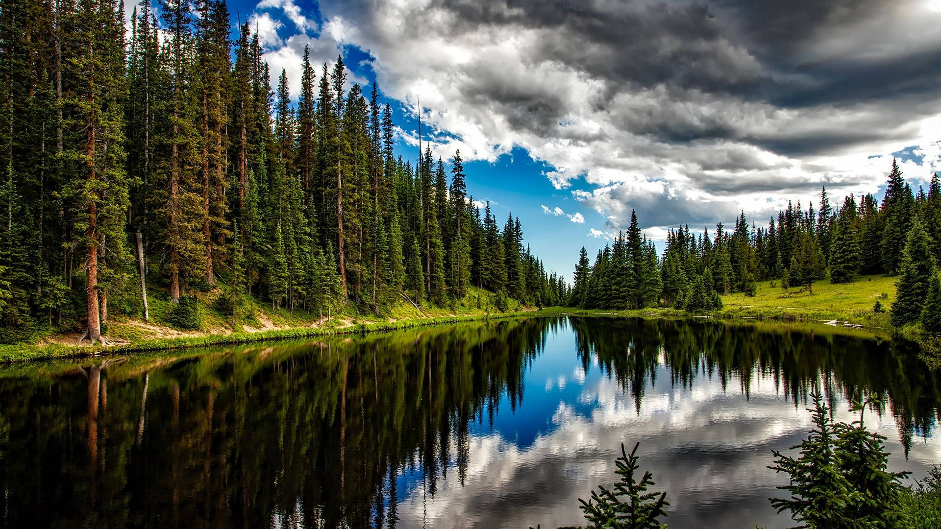 Lake View, pine trees, lake, Full HD Desktop Wallpaper