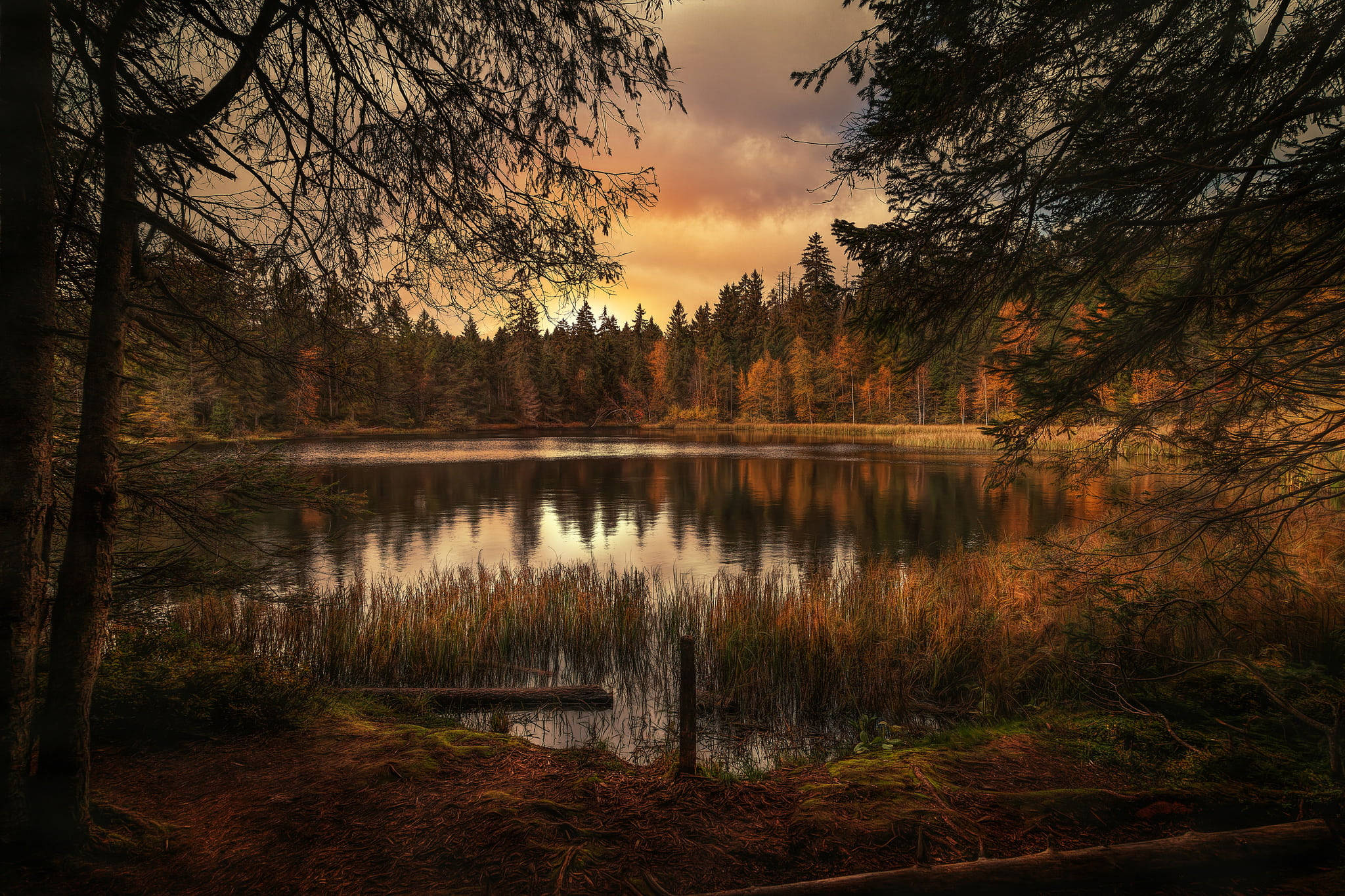 autumn lake, dark trees, fiery sunset sky, Full HD Desktop Wallpaper