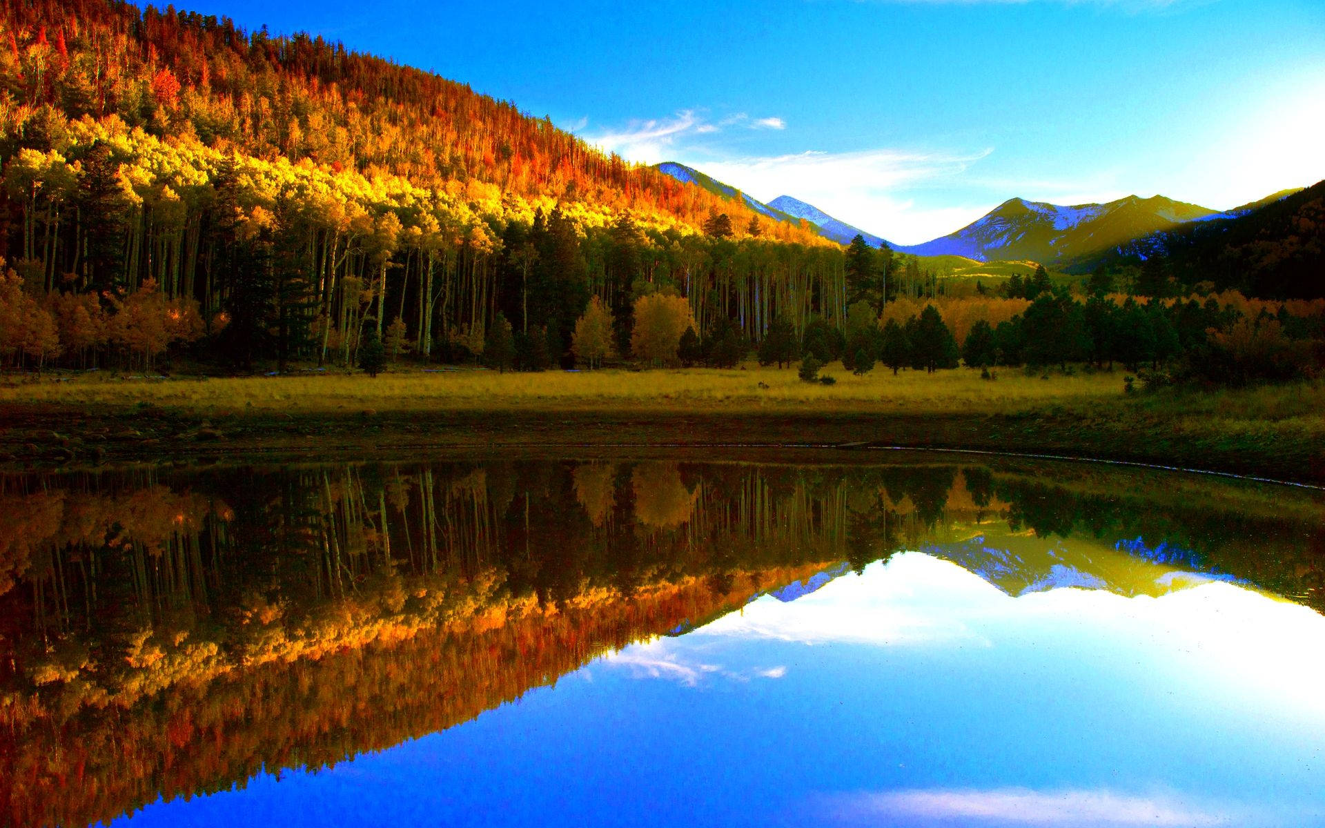 Lake View, autumn trees, golden aspen forests, Full HD Desktop Wallpaper