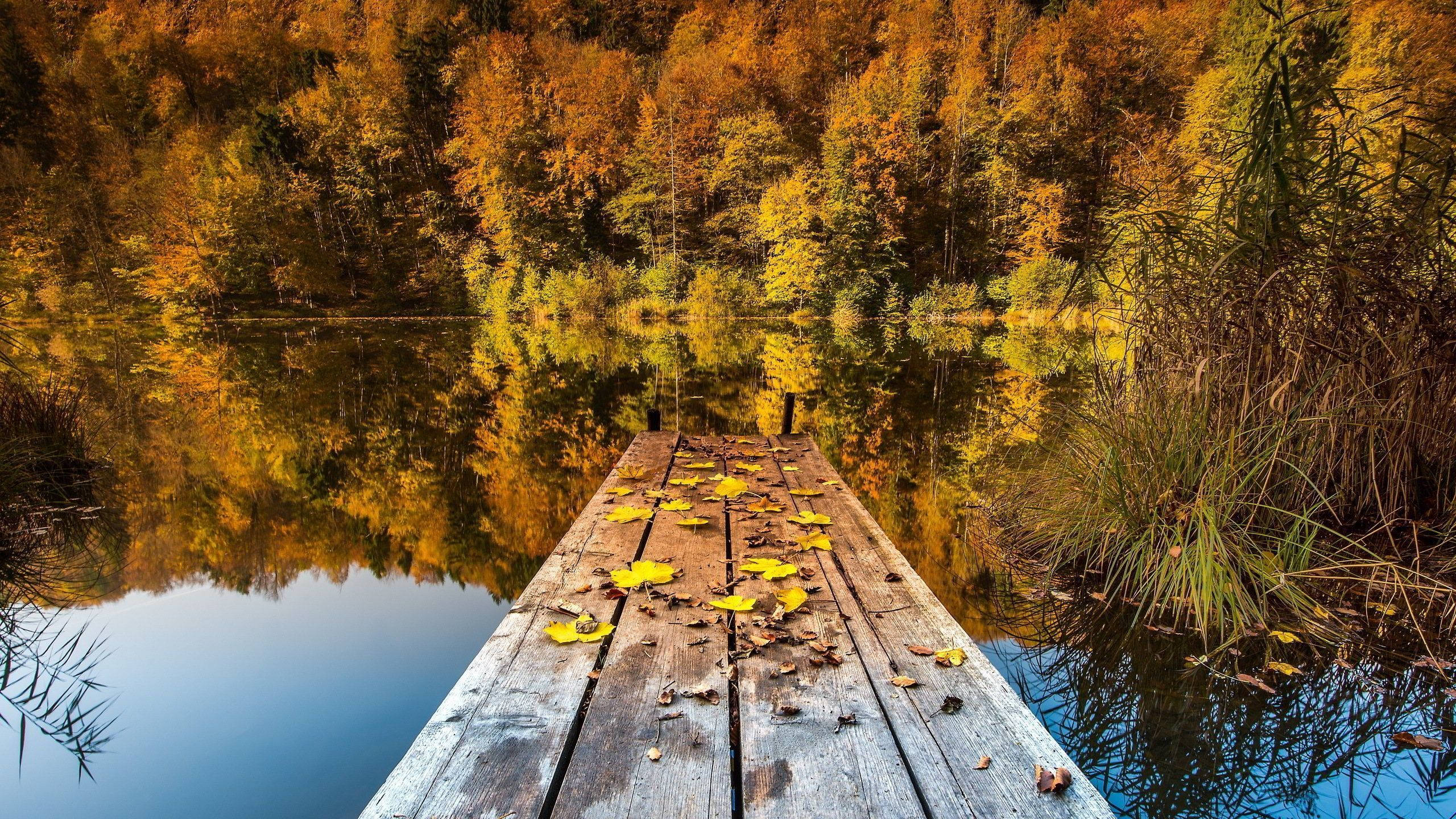 2560x1440, fall, calm lake, 2K Desktop Wallpaper