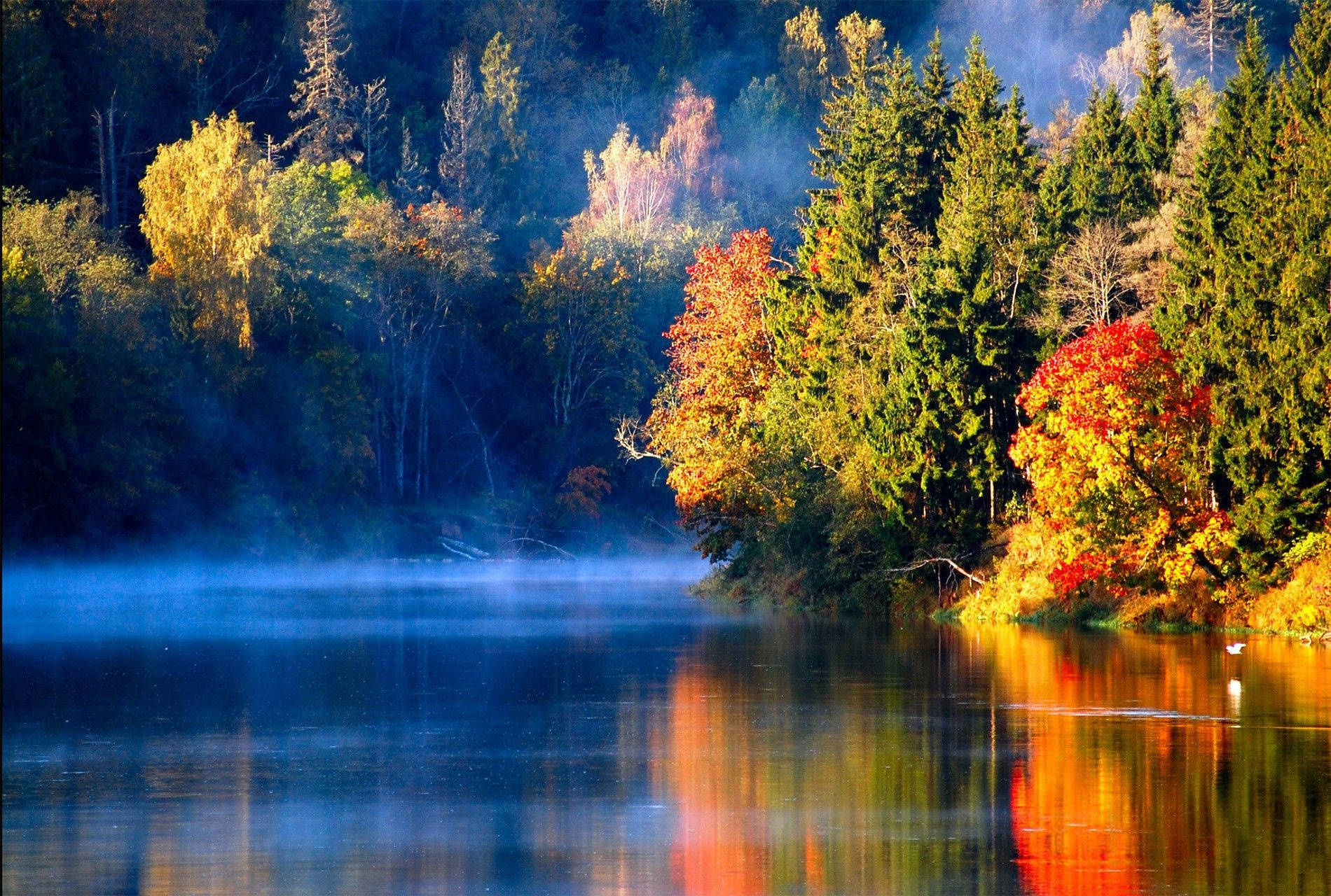 Lake View, colorful trees, fiery red and gold foliage, HD Desktop Wallpaper