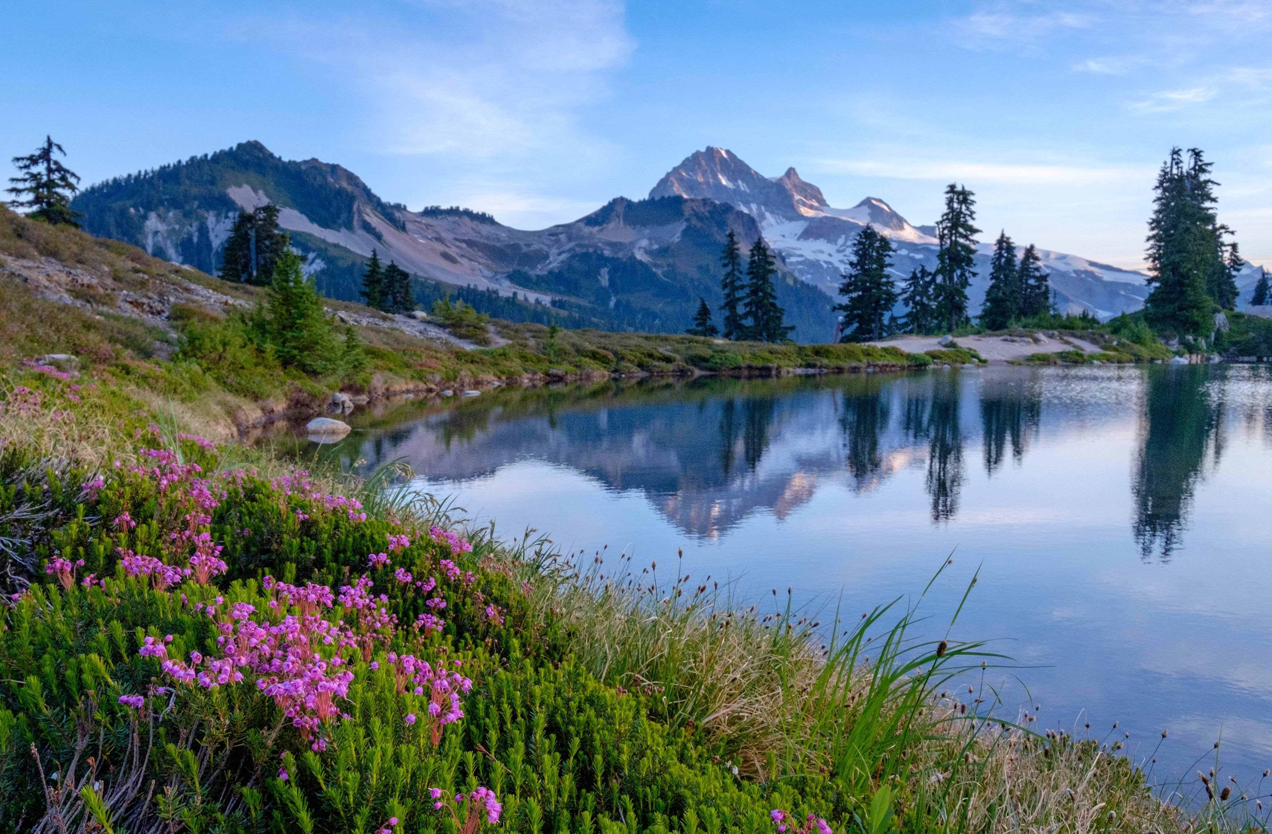 alpine lake, snow-capped peaks, evergreens, 4K Desktop Wallpaper