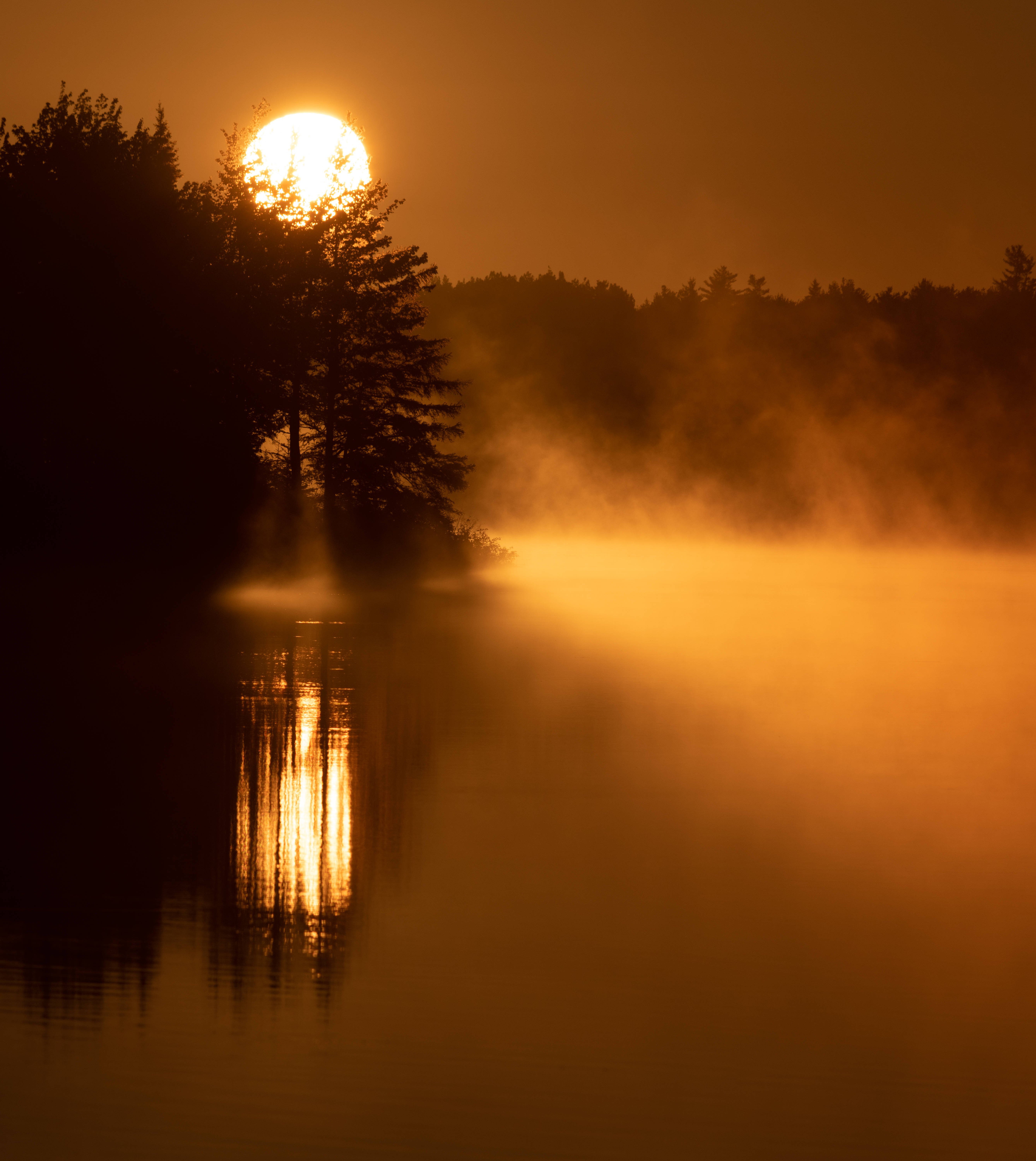 Golden Sun, foggy forest, calm lake, 5K Phone Wallpaper