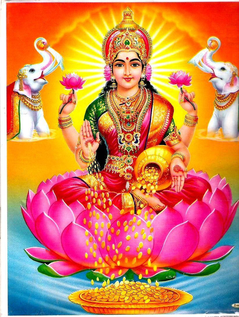 Lakshmi, four arms, pink lotus, SD Phone Wallpaper