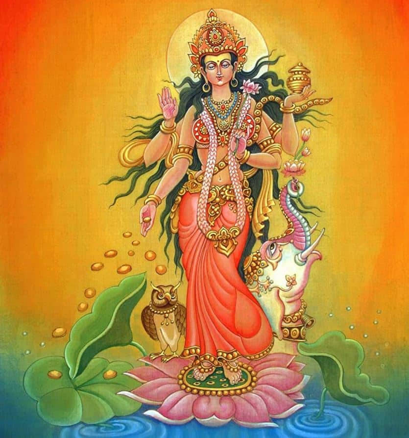 Lakshmi Devi, pink lotus, owl, SD Phone Wallpaper