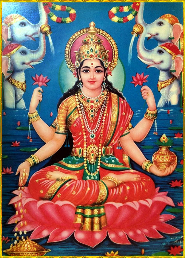Lakshmi Devi, elephants, anointing, SD Phone Wallpaper