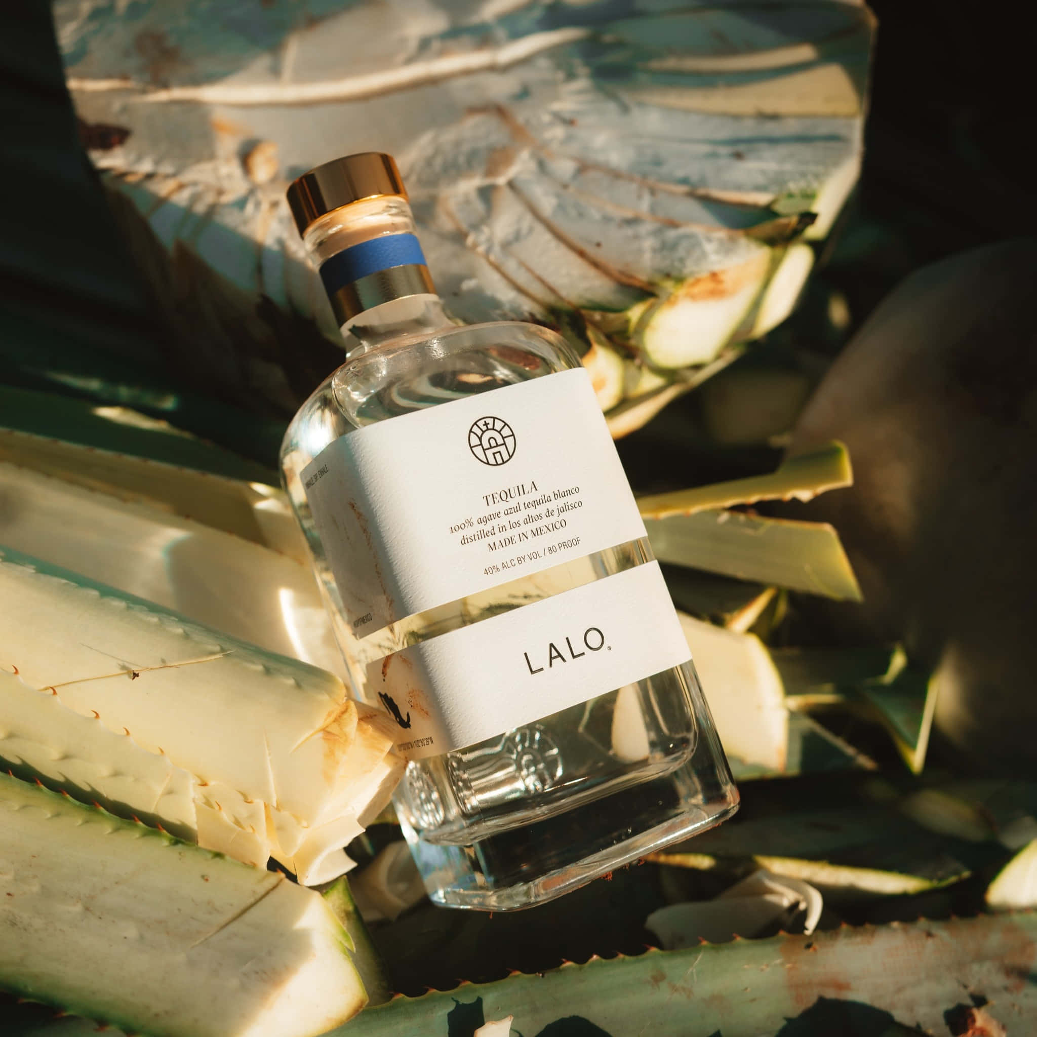 Lalo Tequila, clear glass bottle, agave leaves, Full HD Desktop Wallpaper
