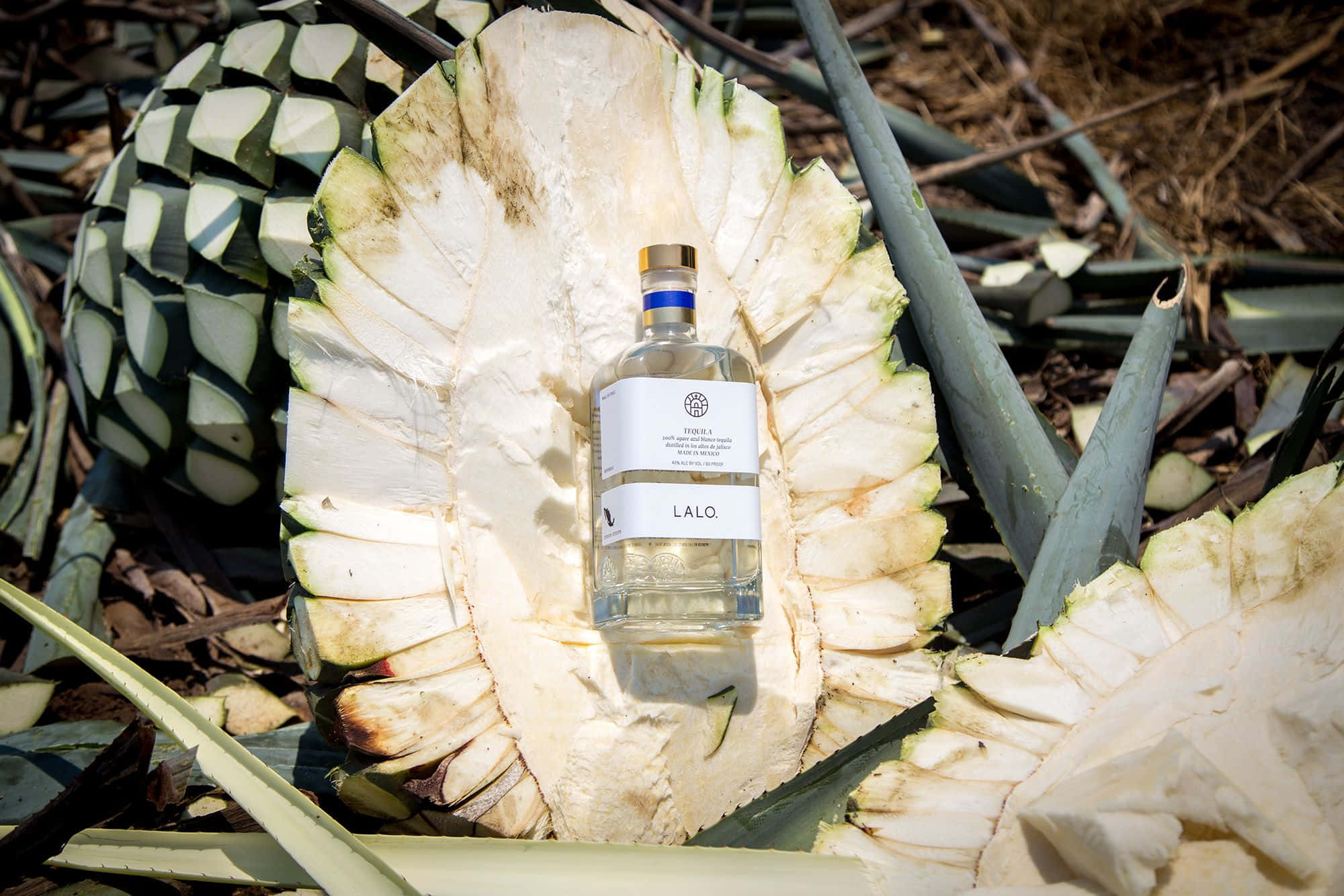 Lalo Tequila, bottle, agave plant, Full HD Desktop Wallpaper