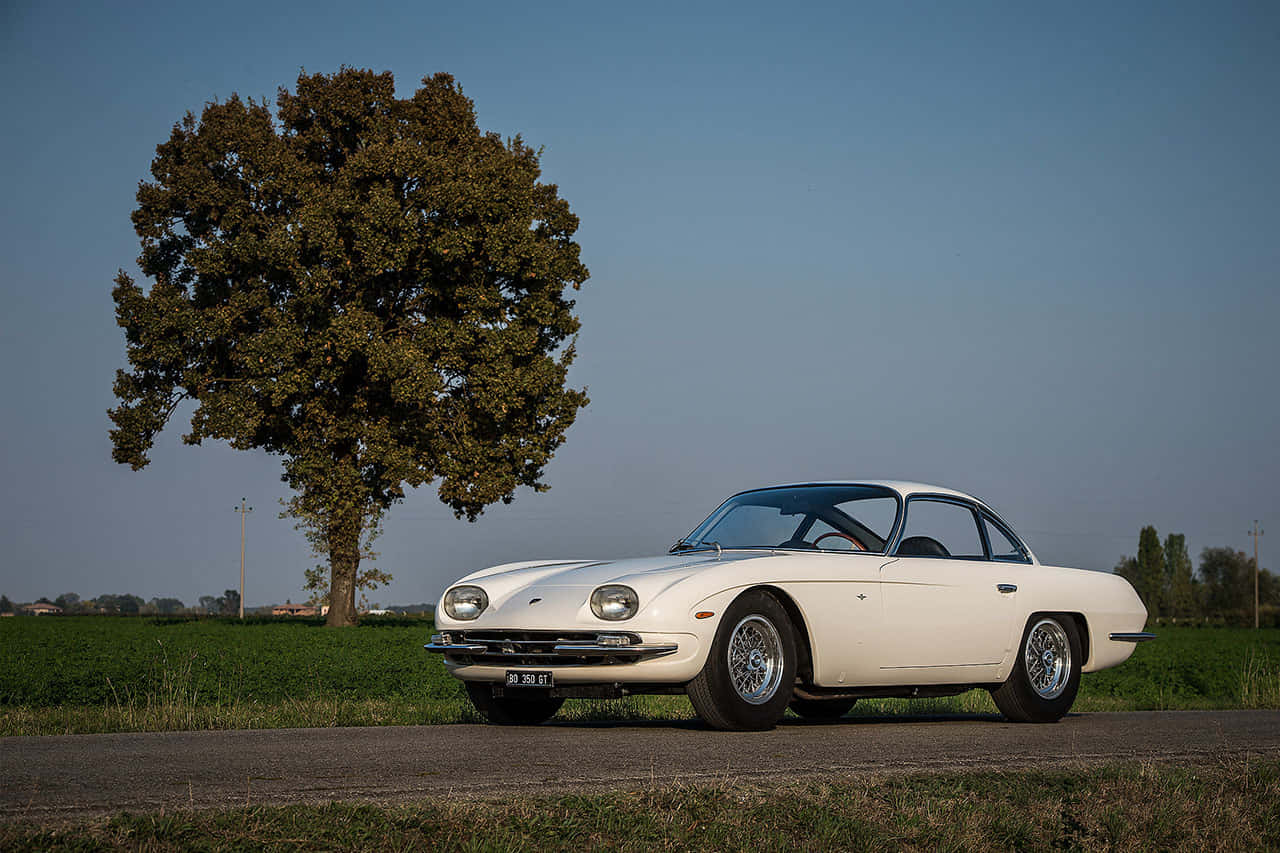 Lamborghini 350 GT, pristine white, vintage sports car, HD Desktop Wallpaper