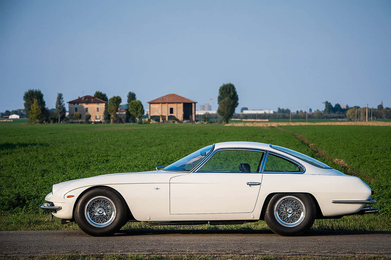Lamborghini 350 GT, white, rural road, HD Desktop Wallpaper