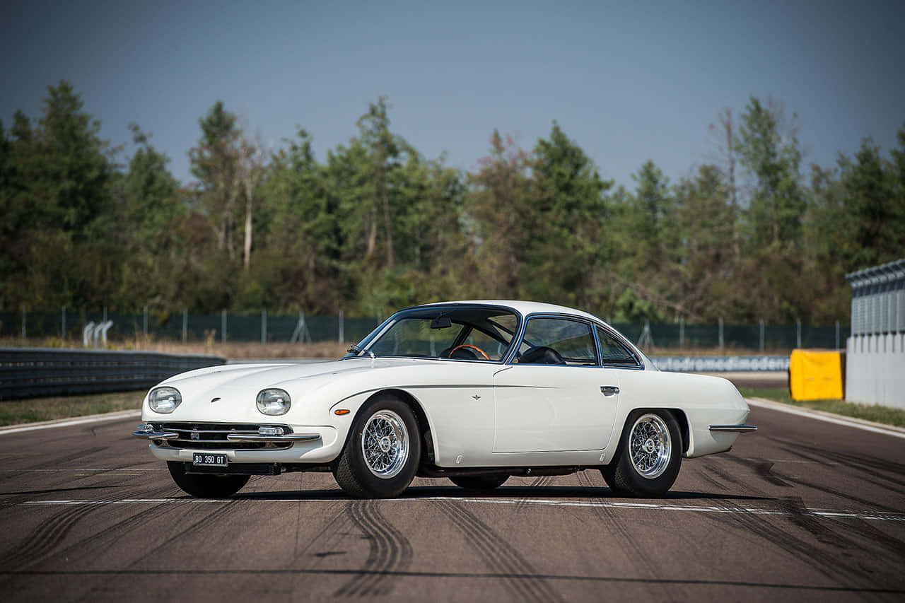 Lamborghini 350 GT, pristine white, wire wheels, HD Desktop Wallpaper