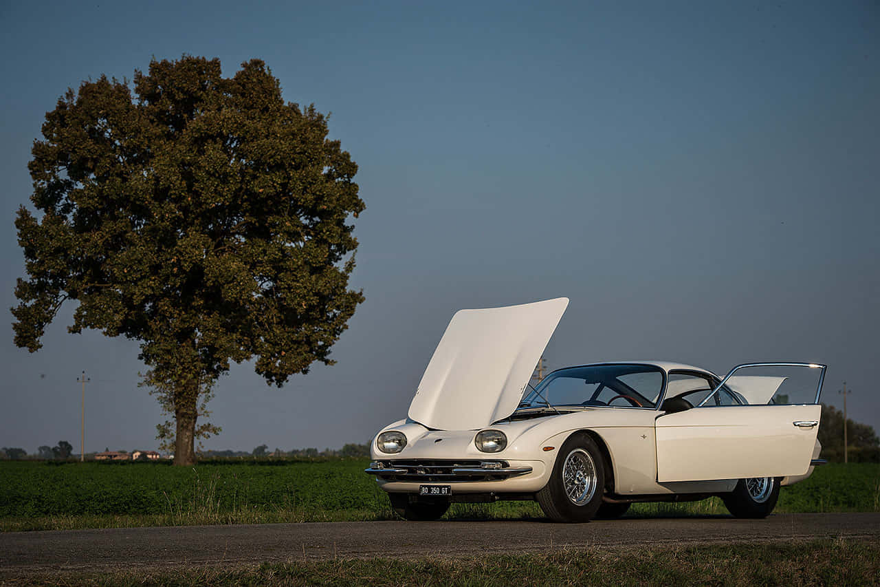 Lamborghini 350 GT, white, open hood, HD Desktop Wallpaper