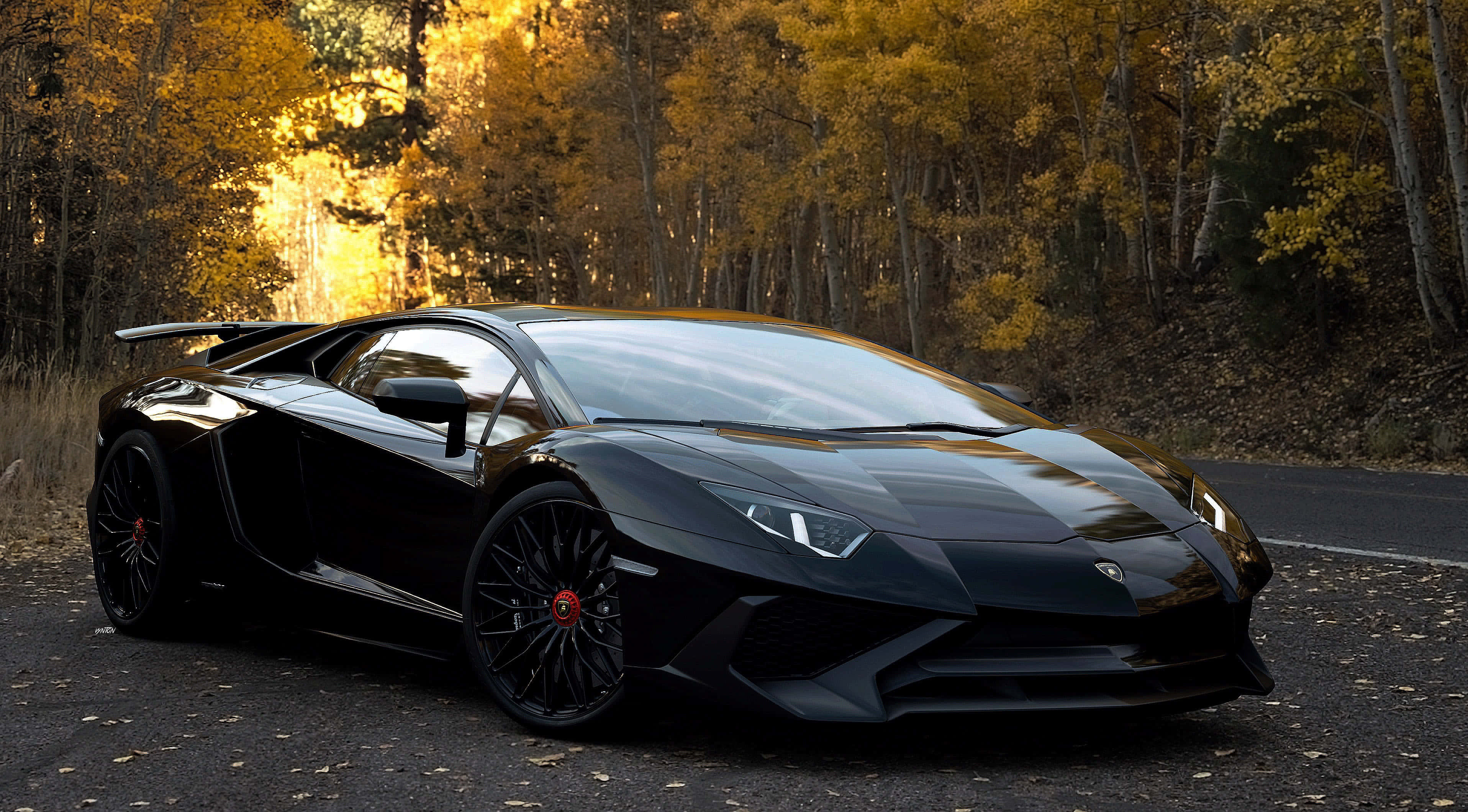 Lamborghini Aventador, black, forest road, 2K Desktop Wallpaper