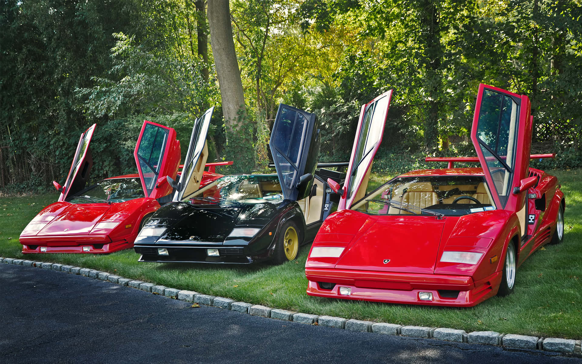 Lamborghini Countach, scissor doors, grass, Full HD Desktop Wallpaper