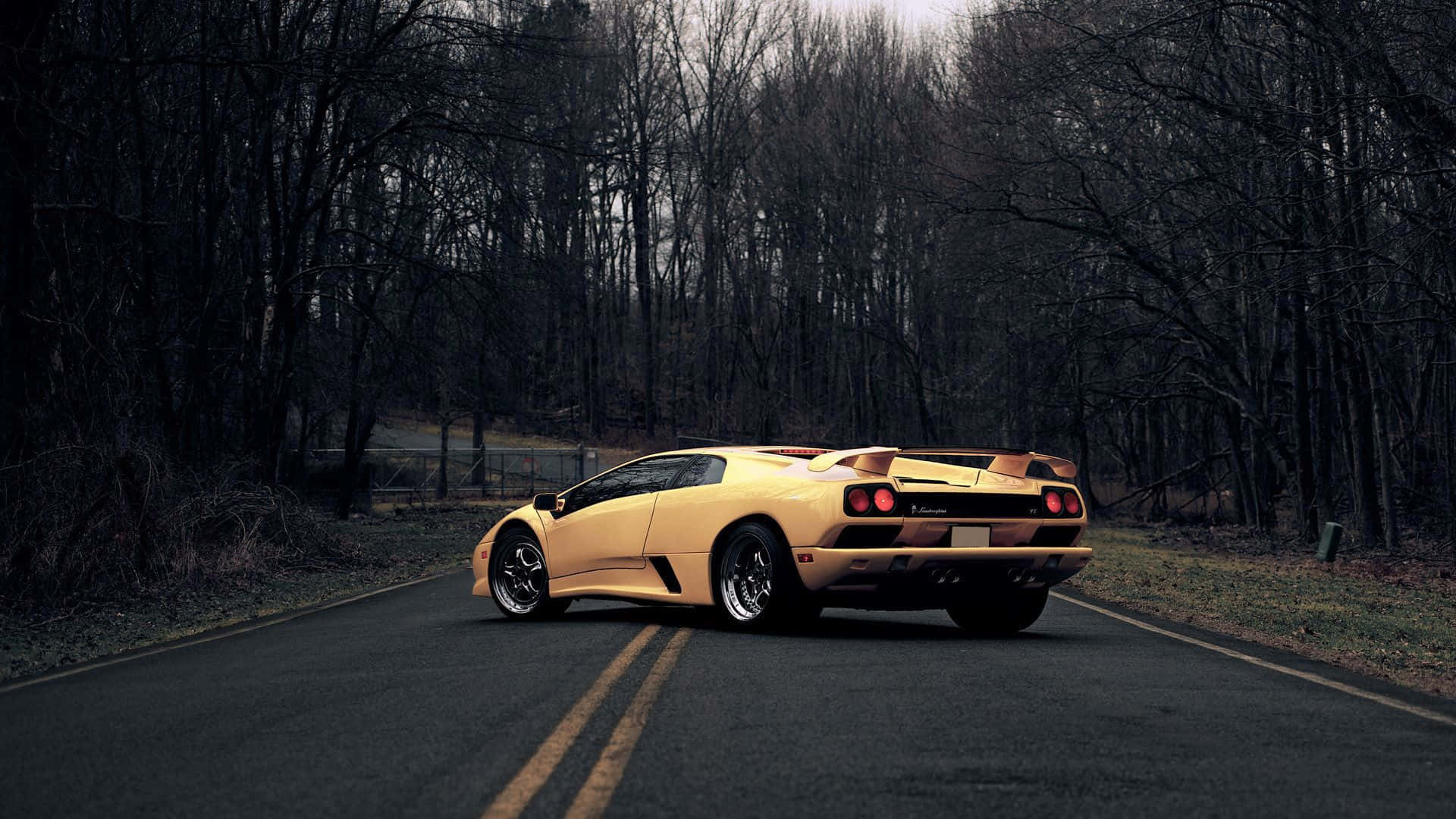 Lamborghini Diablo, golden, forest road, Full HD Desktop Wallpaper