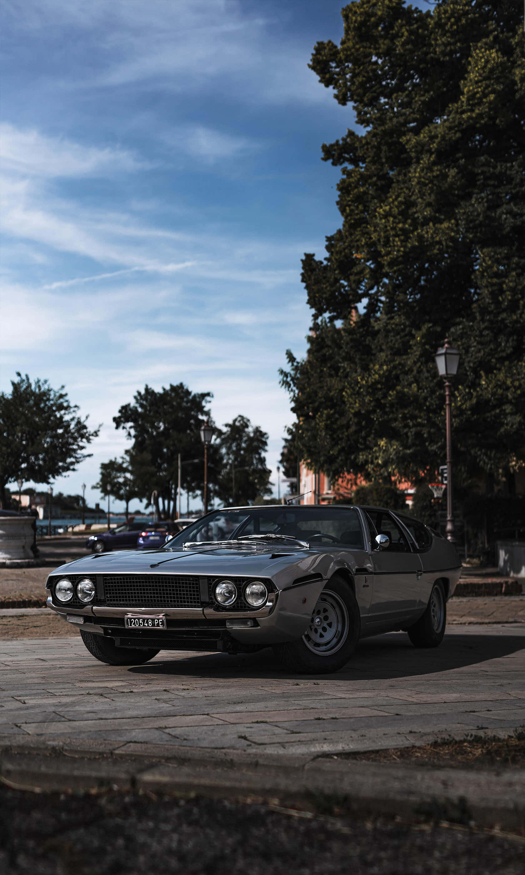 Lamborghini Espada, silver, tree-lined cobblestone street, 2K Phone Wallpaper