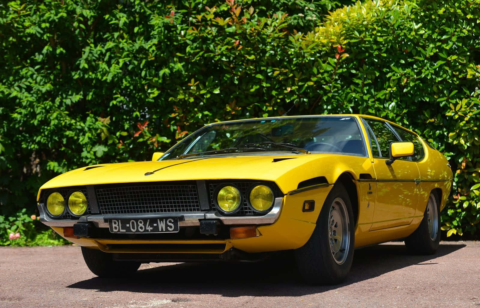 Lamborghini Espada, vibrant yellow, paved driveway, HD Desktop Wallpaper
